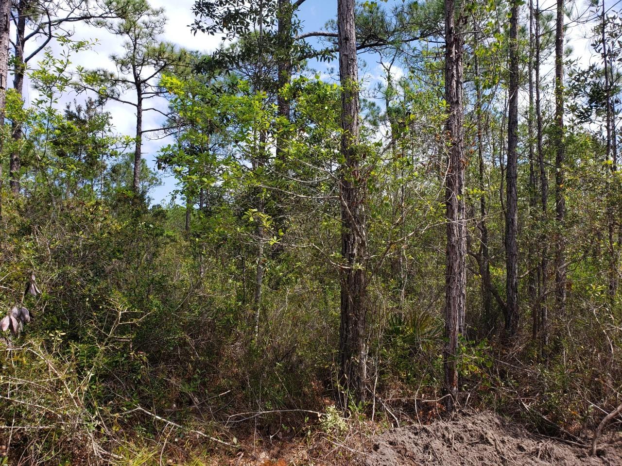 SECLUSION BAY - Land