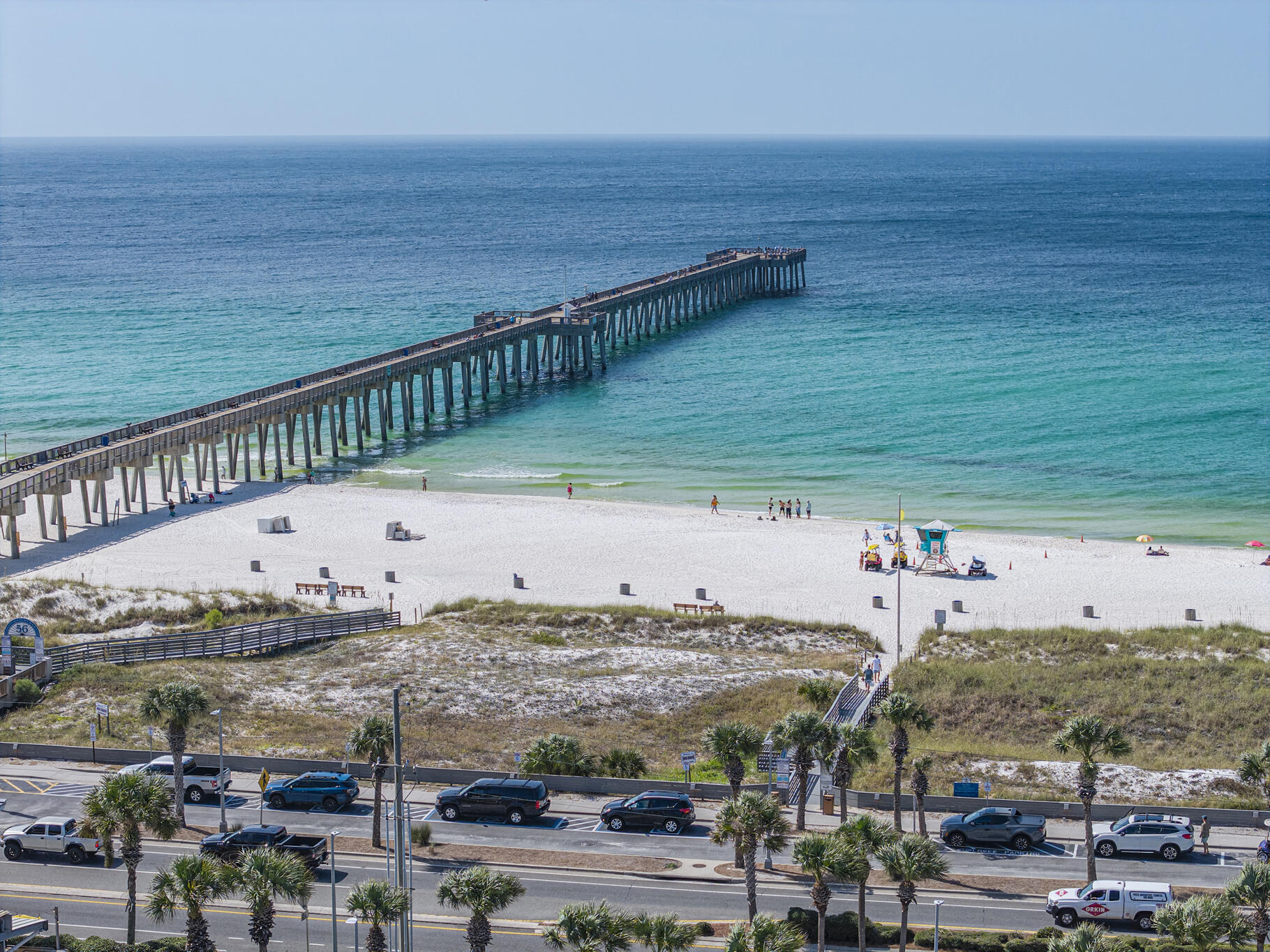 PALMETTO TRACE - Residential