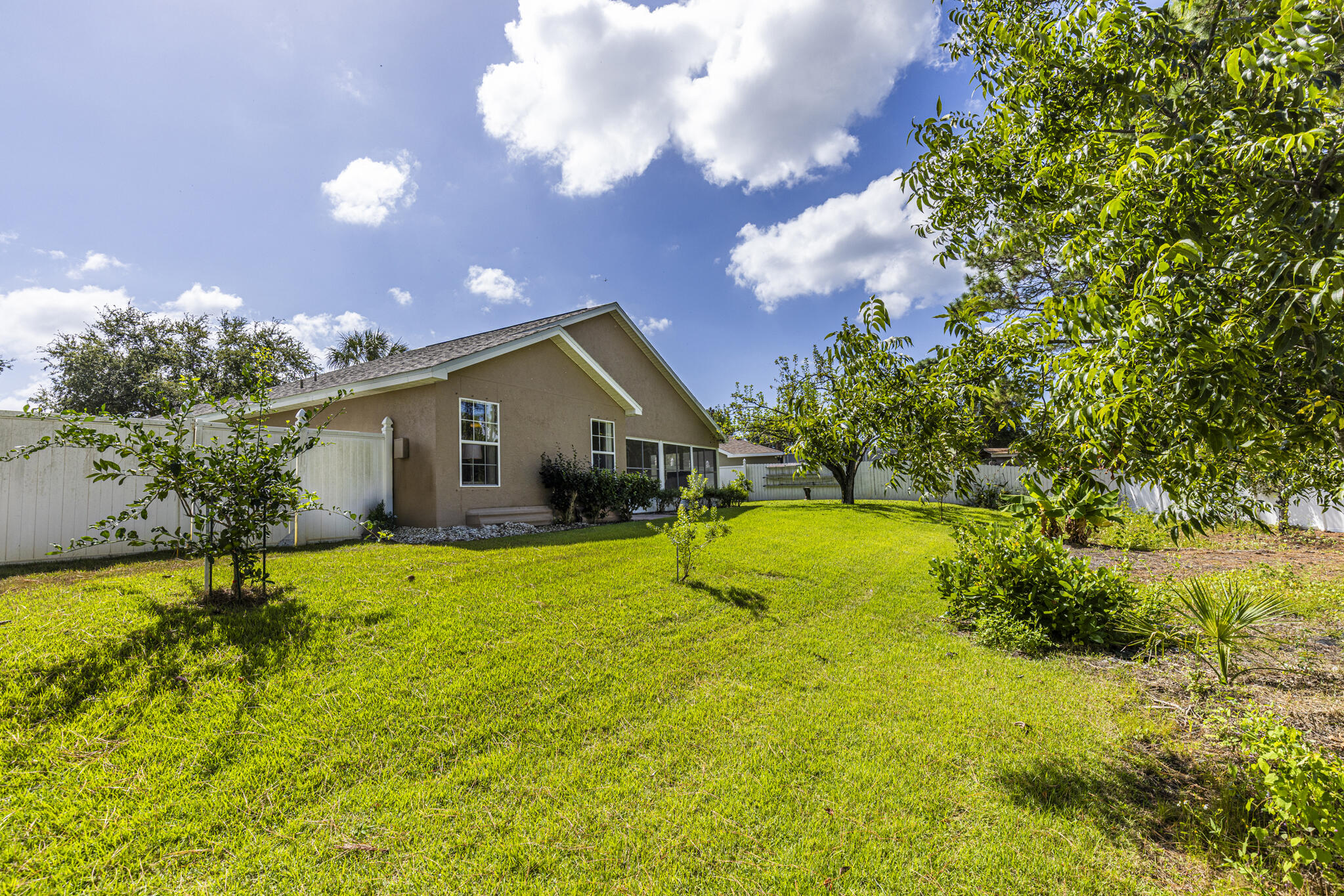 PALMETTO TRACE - Residential