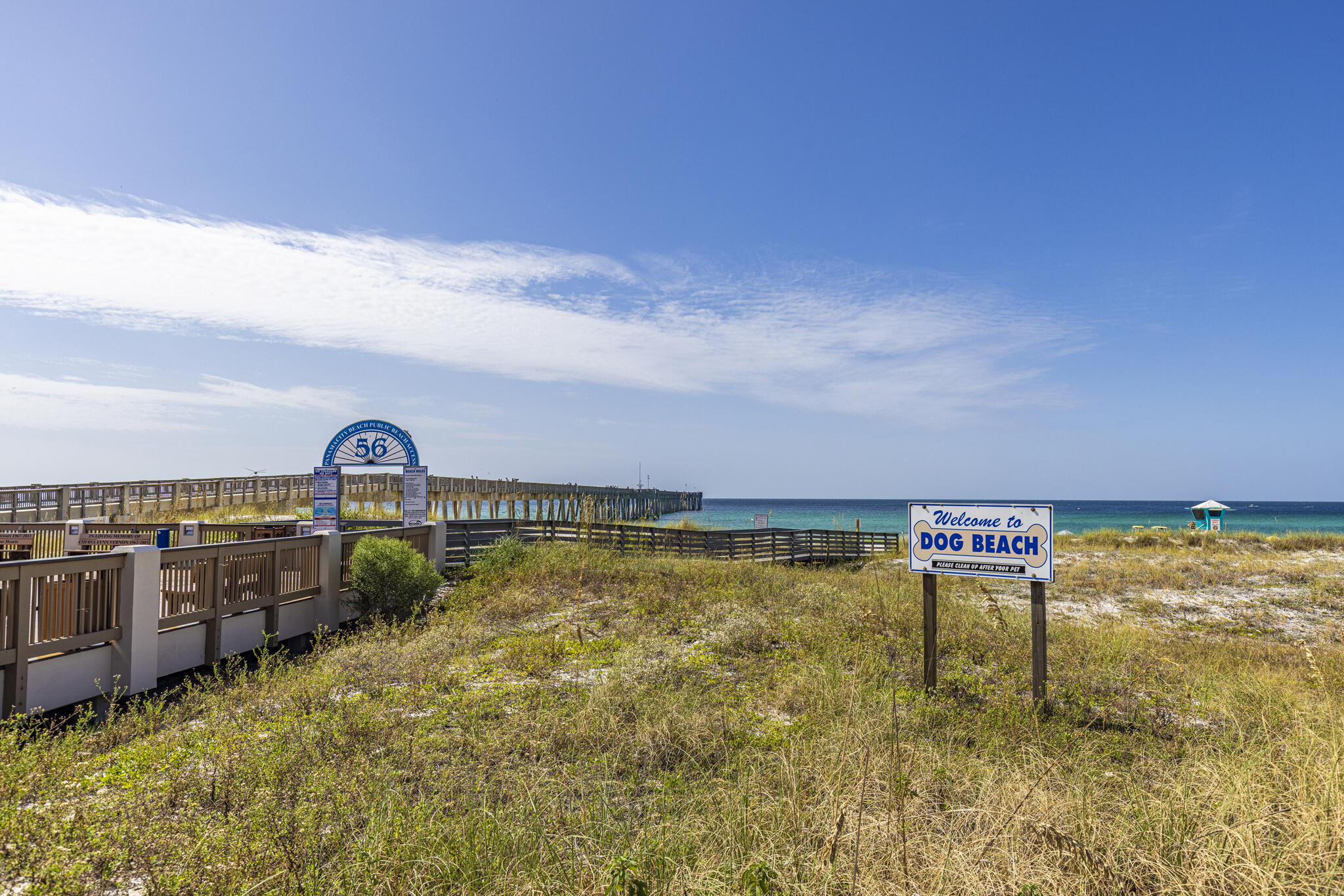 PALMETTO TRACE - Residential