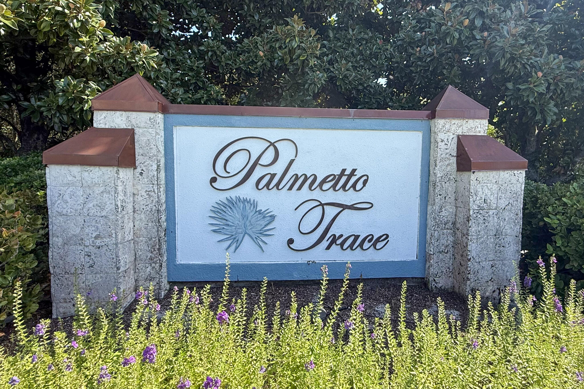 PALMETTO TRACE - Residential