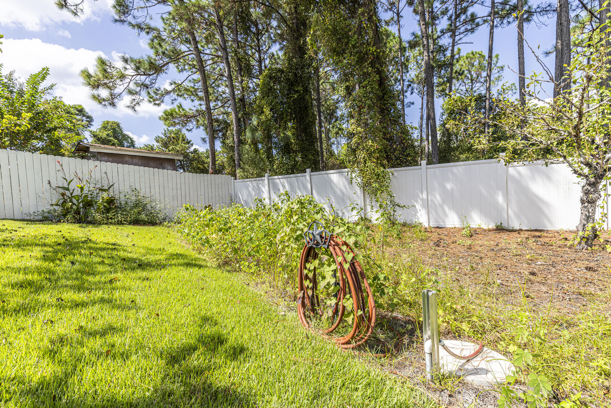 PALMETTO TRACE - Residential