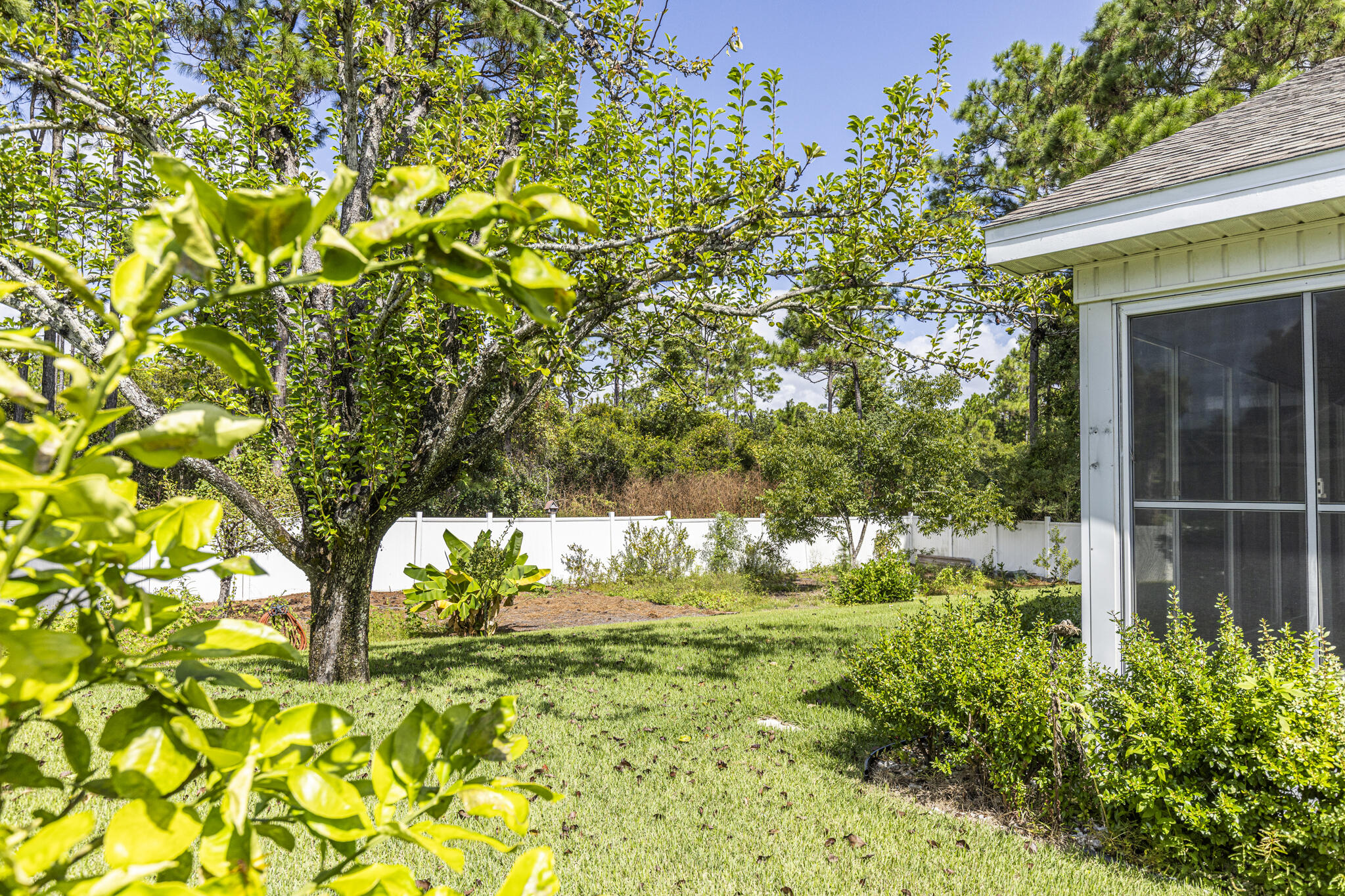 PALMETTO TRACE - Residential