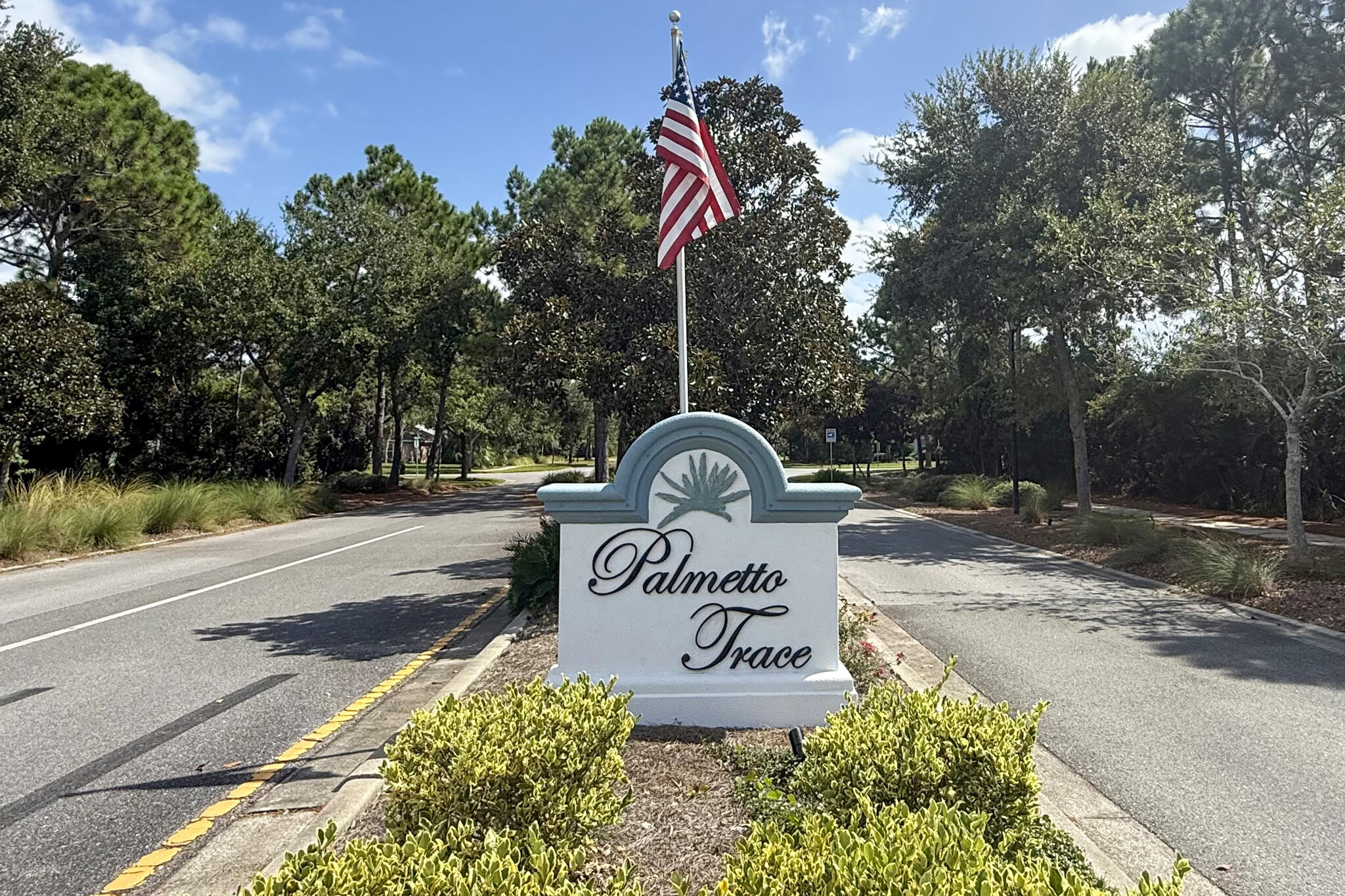 PALMETTO TRACE - Residential