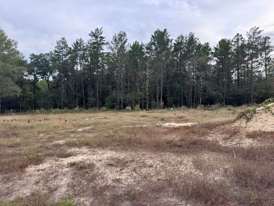 3 lots totaling 0.73 of an acre. These lots are about 1/4 of an acre each (corner lot is a little larger). They are located on a quiet road in DeFuniak Springs, FL. The land is flat, dry & already cleared, making it easy for you to begin with your plans. Power access is nearby making it an easy process for connection. A private well and septic will be needed. Enjoy the peace and privacy of a little seclusion while still being just a short drive from town, shopping, and schools. Centrally located between DeFuniak Springs and Hwy 285 giving easy access to Niceville area as well. - Lots are also listed to be sold separate under MLS numbers 988347, 988348 & 988349.