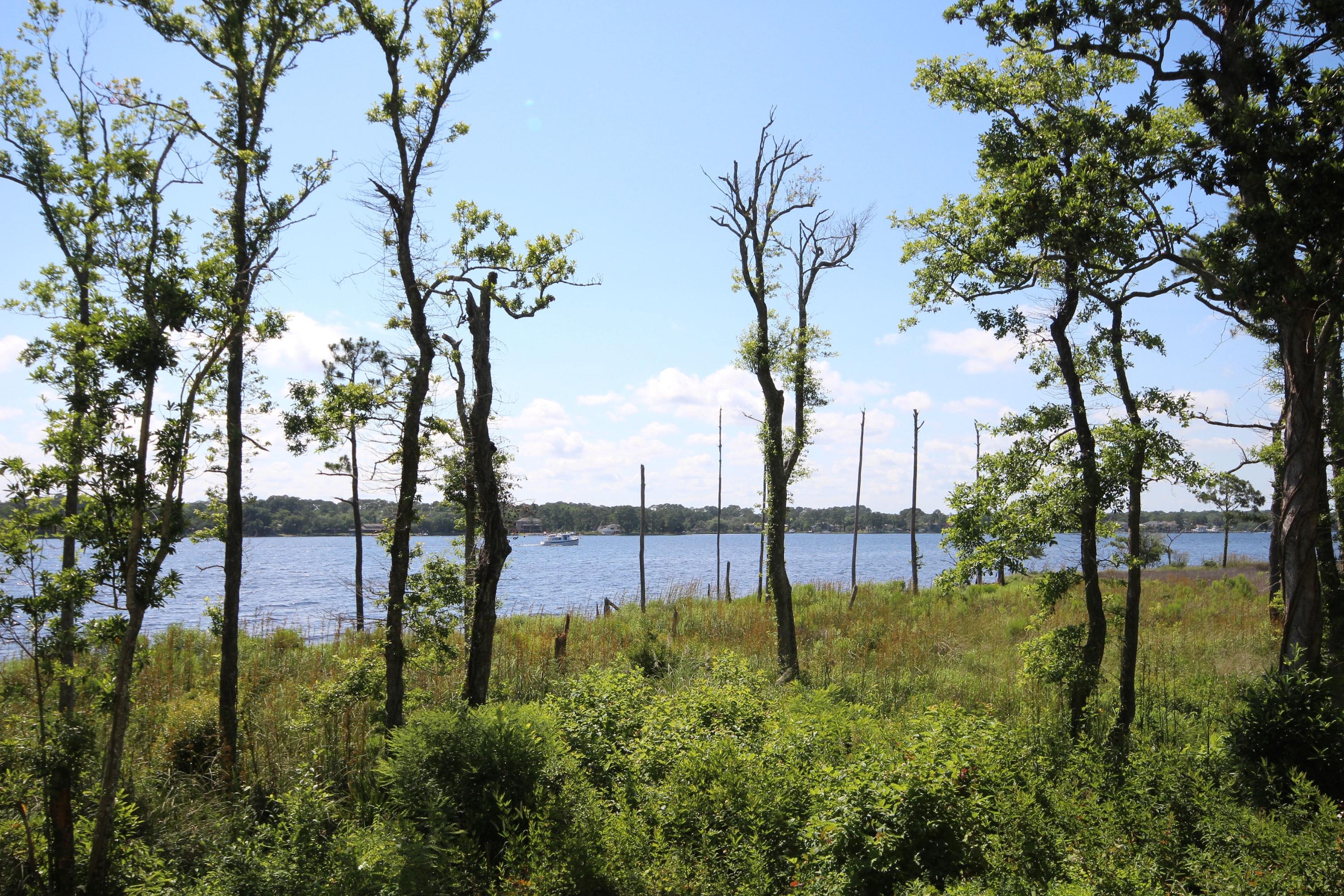 MARINA COVE VILLAGE PH 2 - Residential