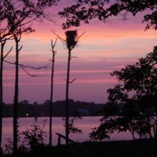 MARINA COVE VILLAGE PH 2 - Residential