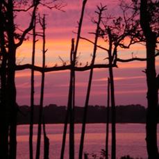 MARINA COVE VILLAGE PH 2 - Residential