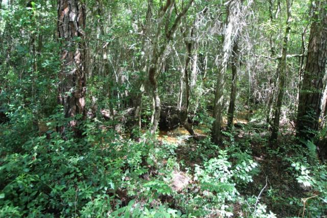 LAKEPOINT S/D PH 1 - Residential