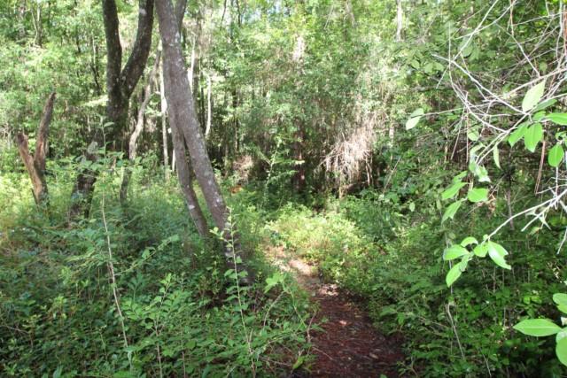 LAKEPOINT S/D PH 1 - Residential