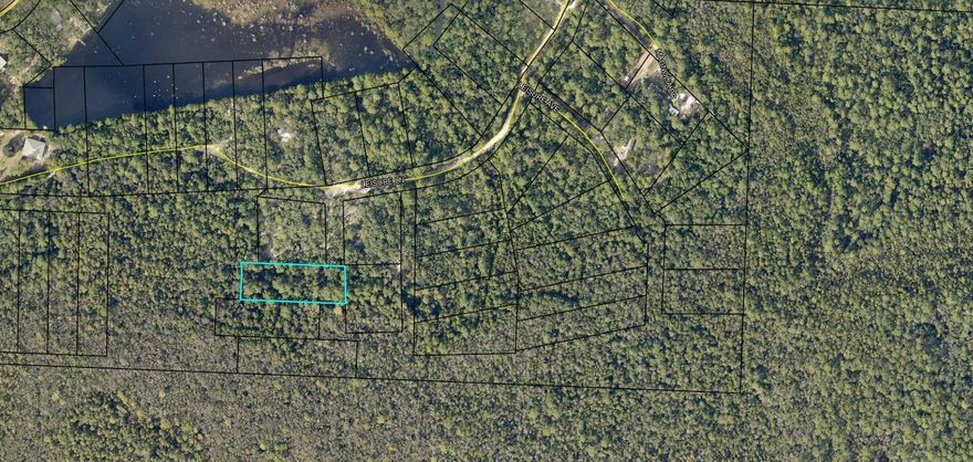 Looking for a prime small-acreage hunting spot in Florida's game-rich Yellow River Swamp? This one-acre parcel offers the perfect access point for navigating an otherwise dense, swampy, and hard-to-reach area. With plenty of deer and hog activity, it's an ideal location for quick morning or late afternoon hunts. Plus, its proximity to Interstate I-10 makes it a convenient option for hunters on the go. Set up a hunting stand and feeder, or even live off the grid. Don't miss out on this affordable hunting tract-call us today for more details!  Zoning RR which allows Manufactured / mobile homes or single family dwelling. OWNER FINANCING AVAILIABLE