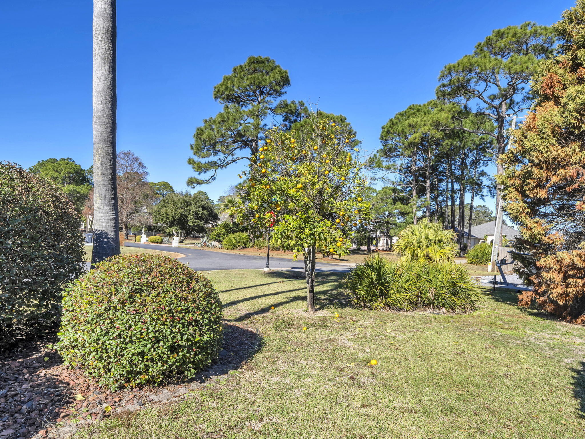 BAYSIDE - Residential