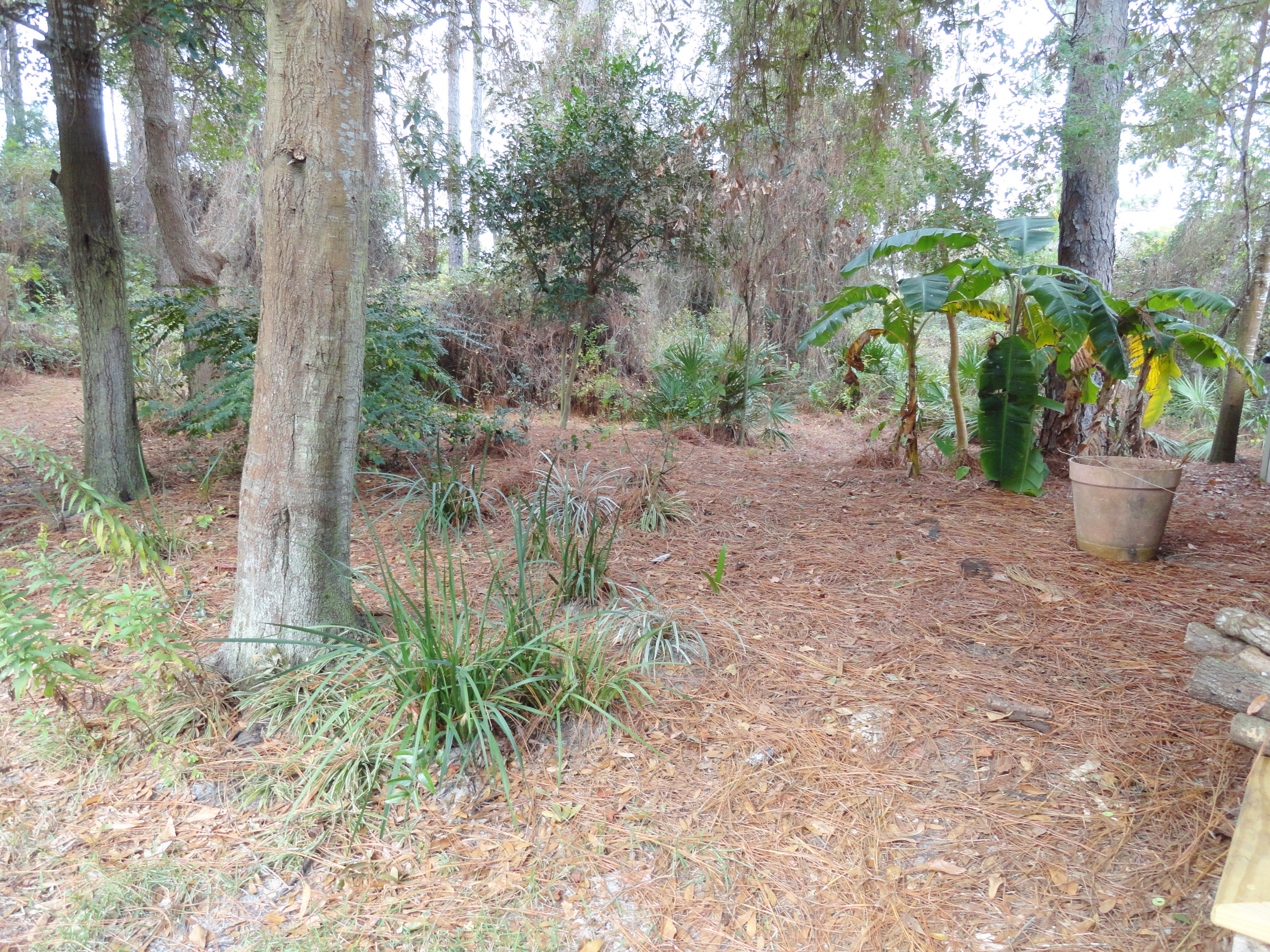 BAY PINE SHORES - Residential