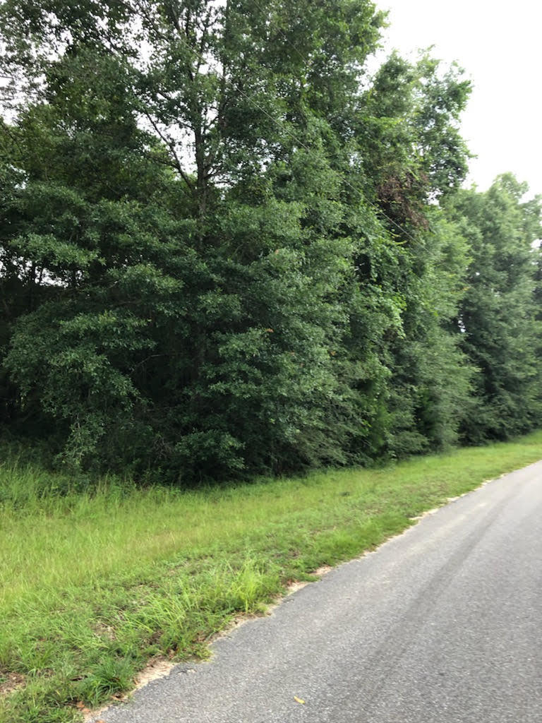 BEAUTIFUL TRACT OF LAND IS LOCATED JUST BEFORE THE ENTRANCE OF BLUE POND SUBDIVISION. BEAUTIFUL OAK TREES ON THE PROPERTY.