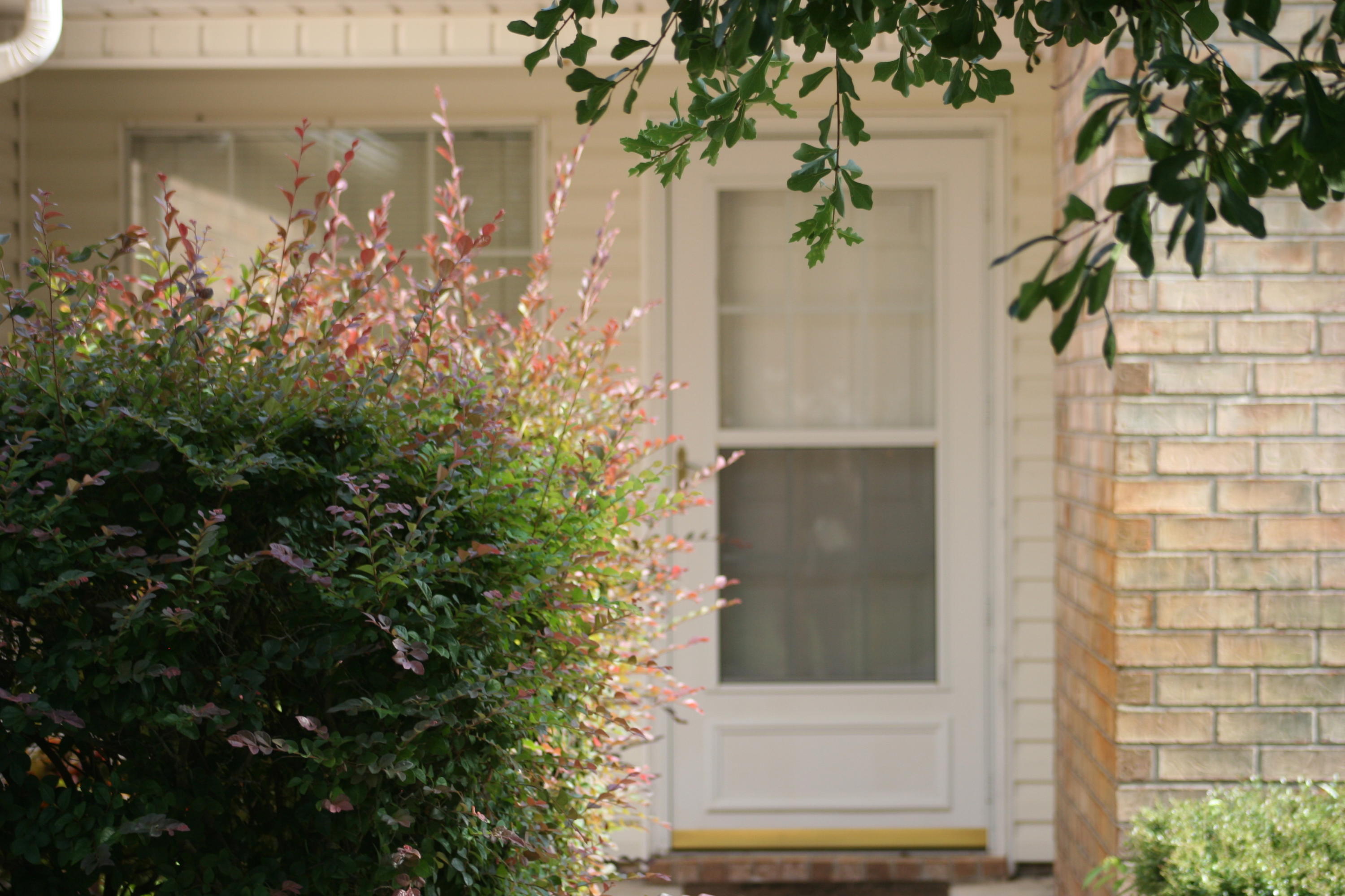 SOUTHERN PINES - Residential