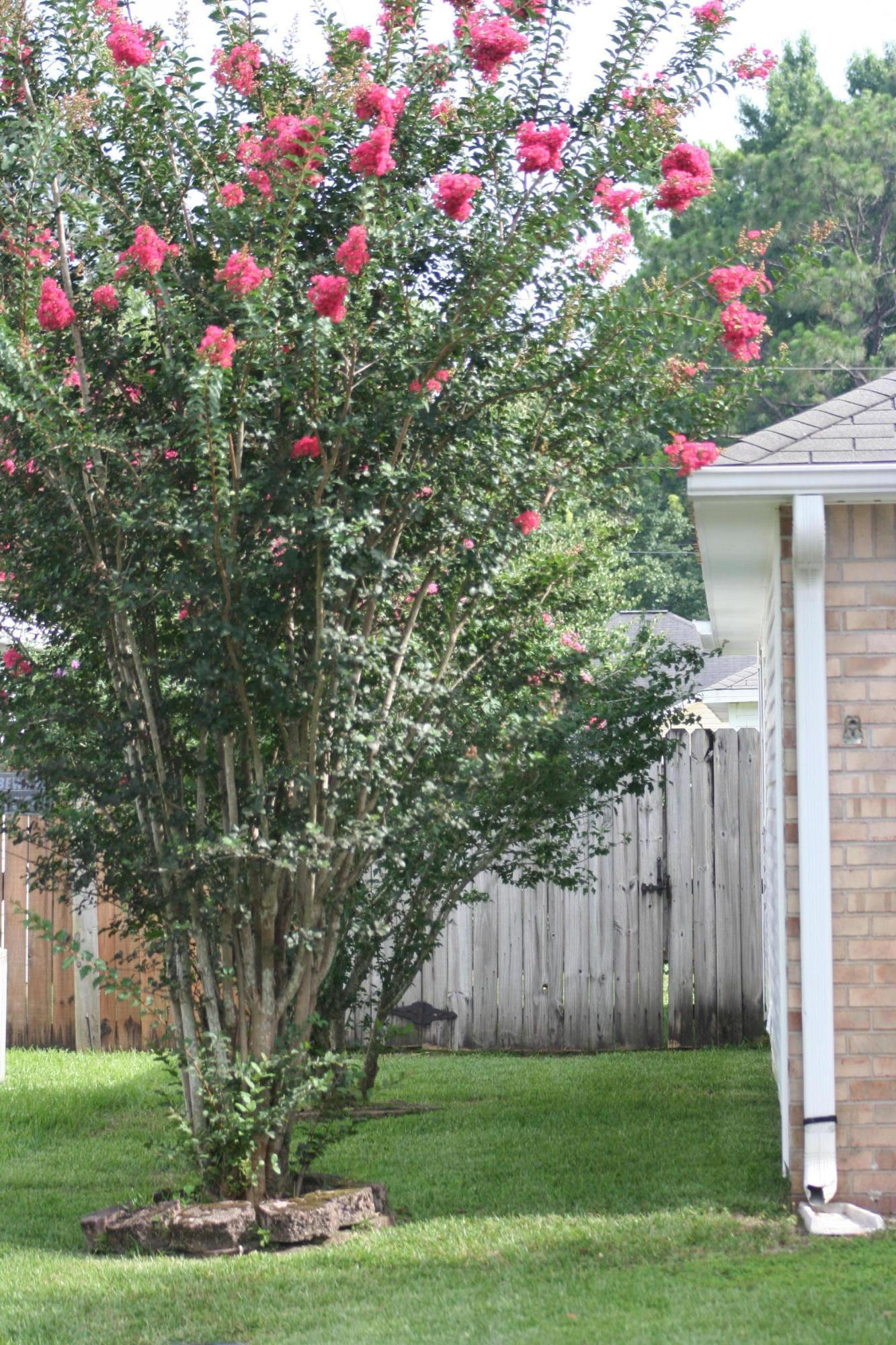 SOUTHERN PINES - Residential