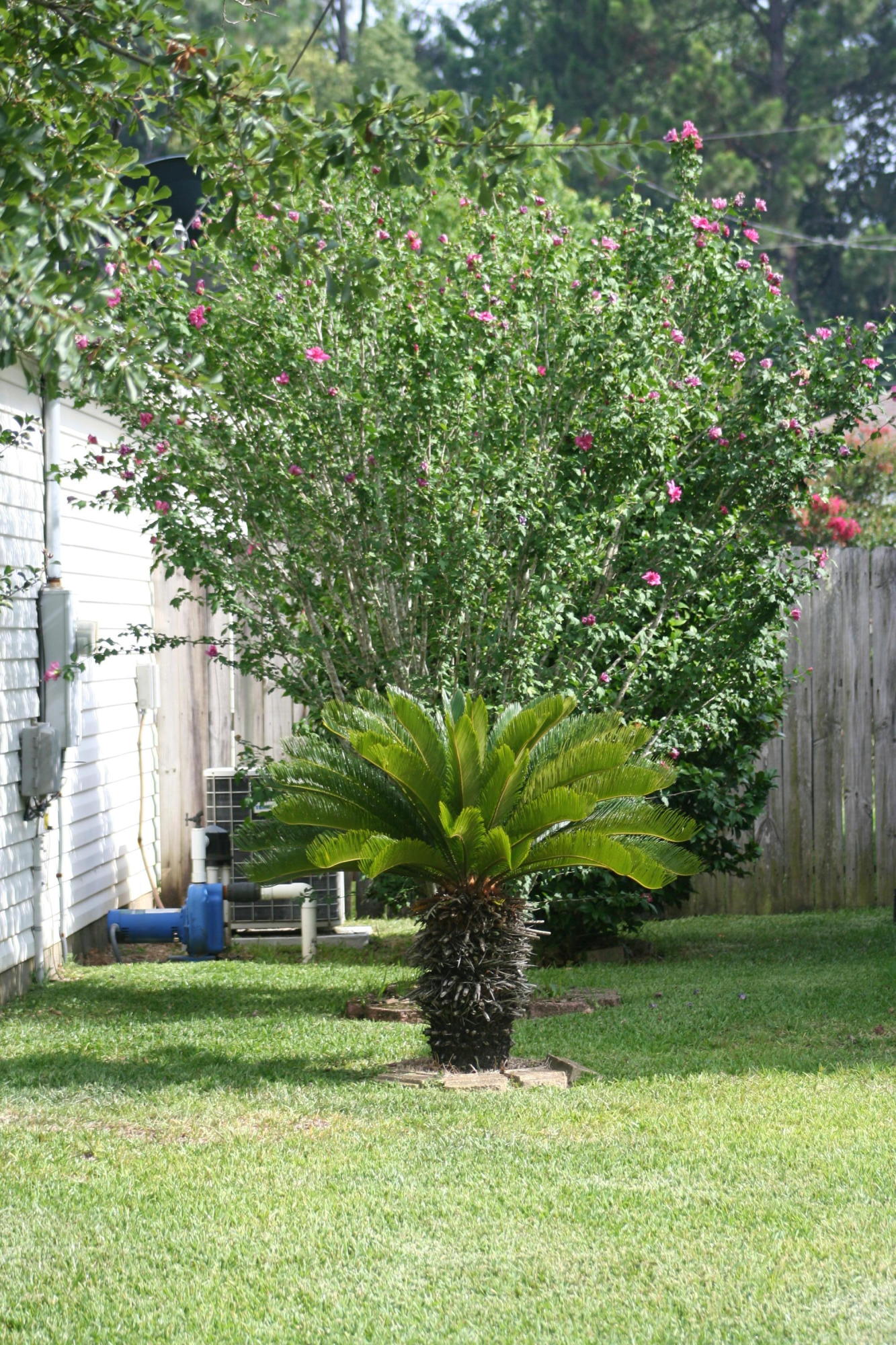 SOUTHERN PINES - Residential