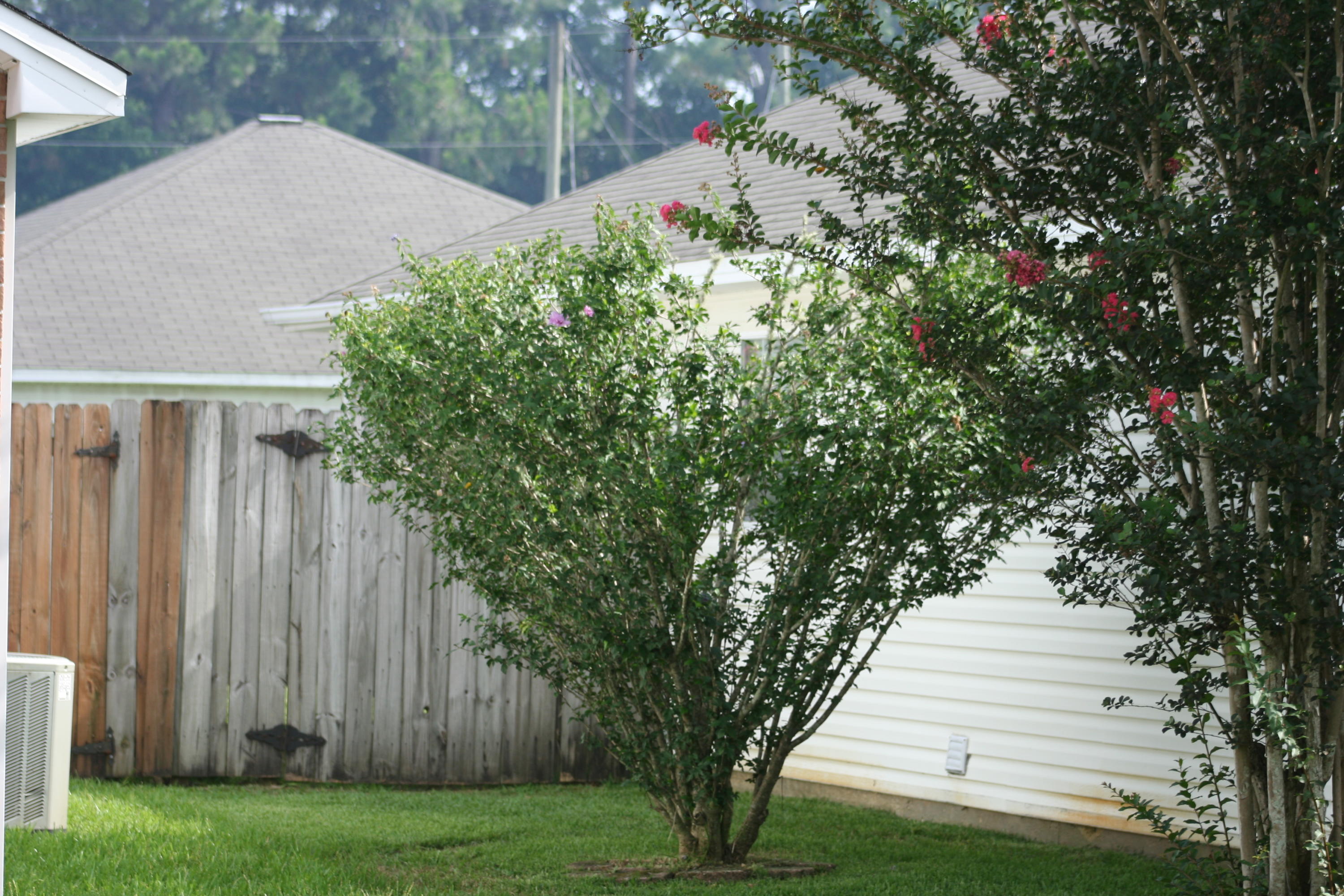 SOUTHERN PINES - Residential