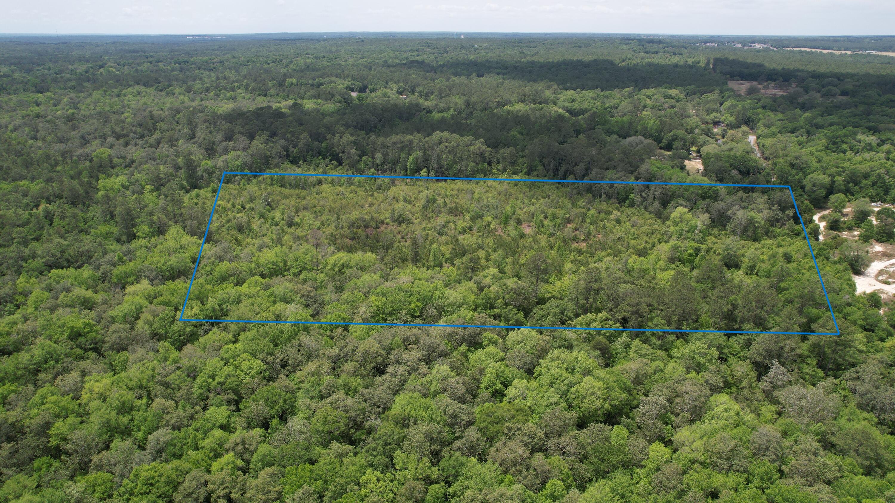 Calling for highest and best offer by 05/08/2024 5pm CST. 20 Acres of Lush Wilderness Awaits. Dense, mature woodlands teeming with wildlife. Secluded retreat far from the noise, yet accessible.Seize the opportunity to own a vast 20-acre of prime land where nature and you unite. This property provides the perfect habitat for a variety of wildlife, including deer, turkey, and small game. Property backs up to the NWF Water Management District.