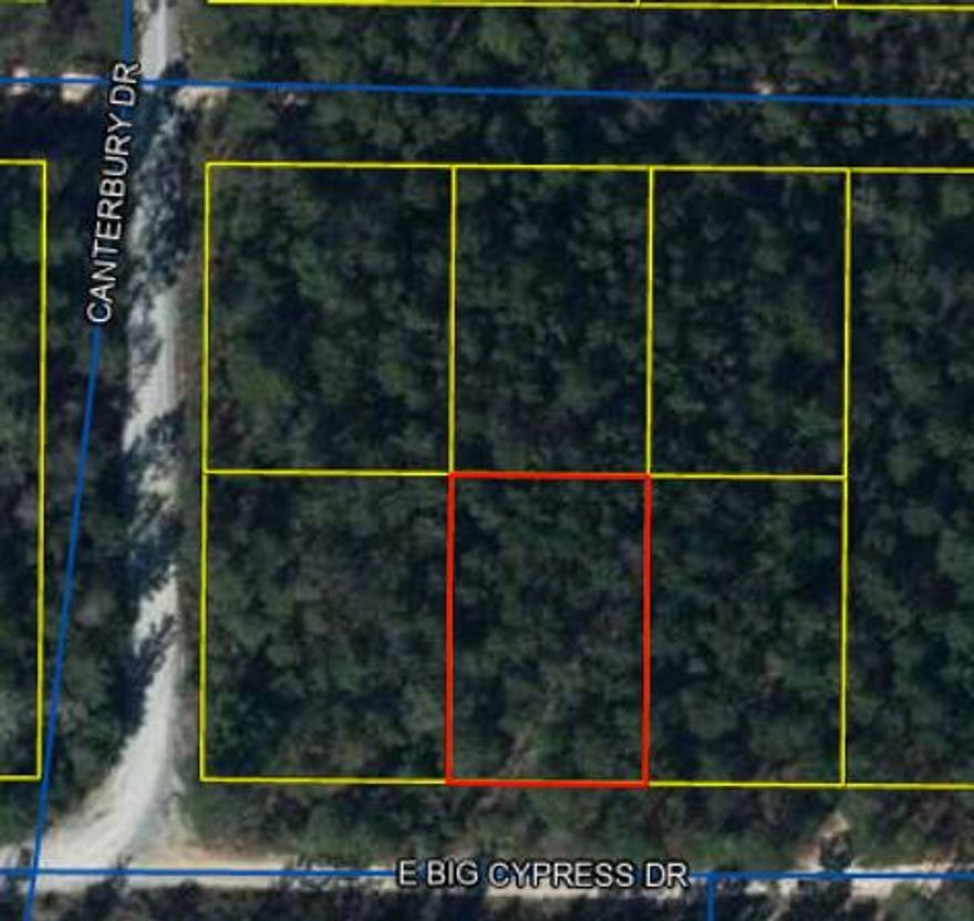 Great flat lot in the Mossy Head area.  Flood Zone X.  Well and Septic required.  Bring your manufactured home!

2 adjacent lots available as well.