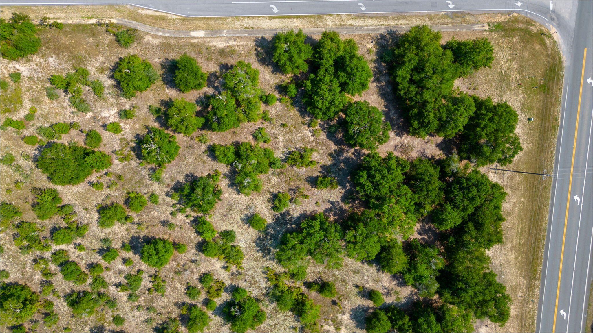 McCaskill S/D - Land