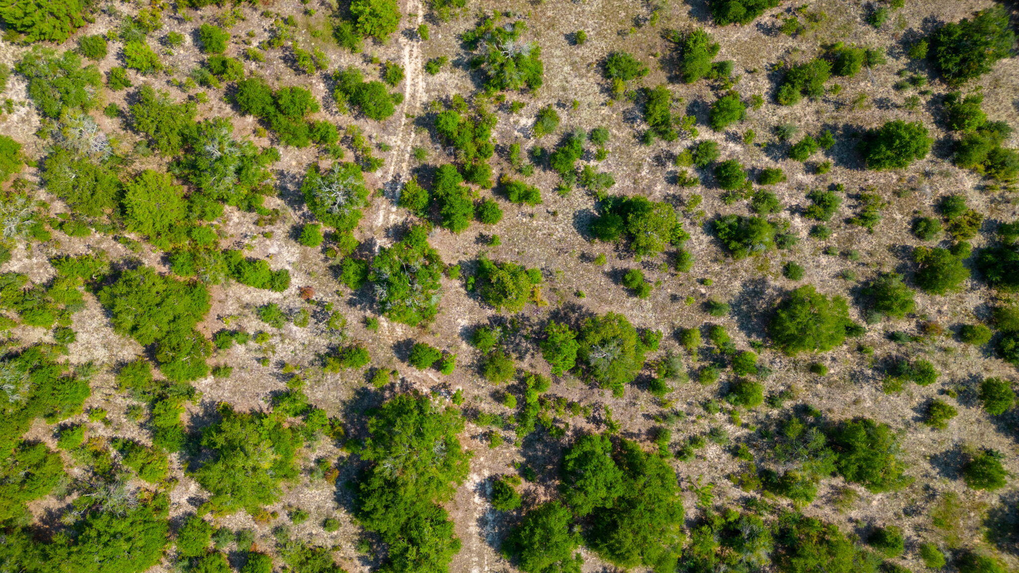 McCaskill S/D - Land