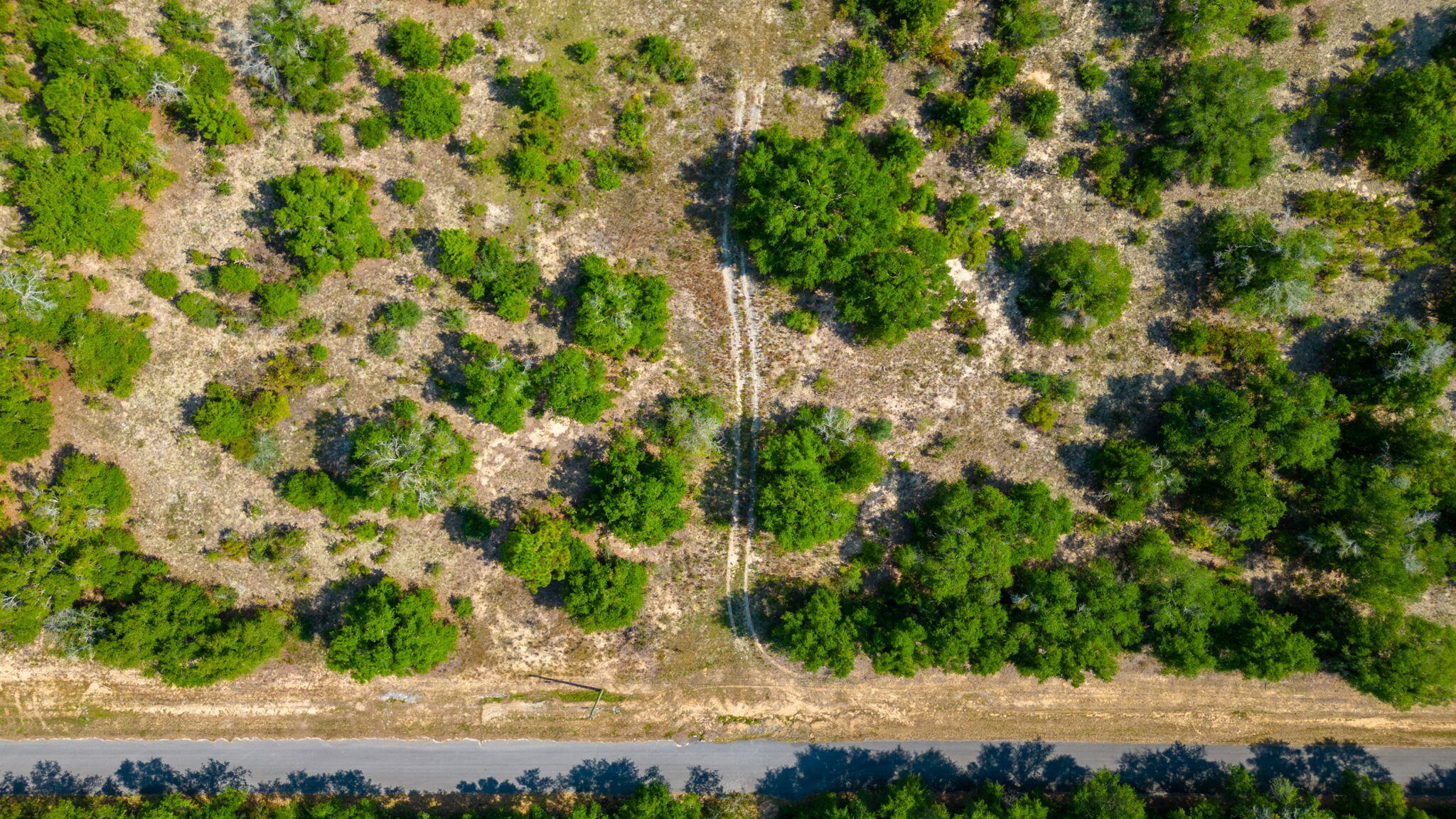 McCaskill S/D - Land