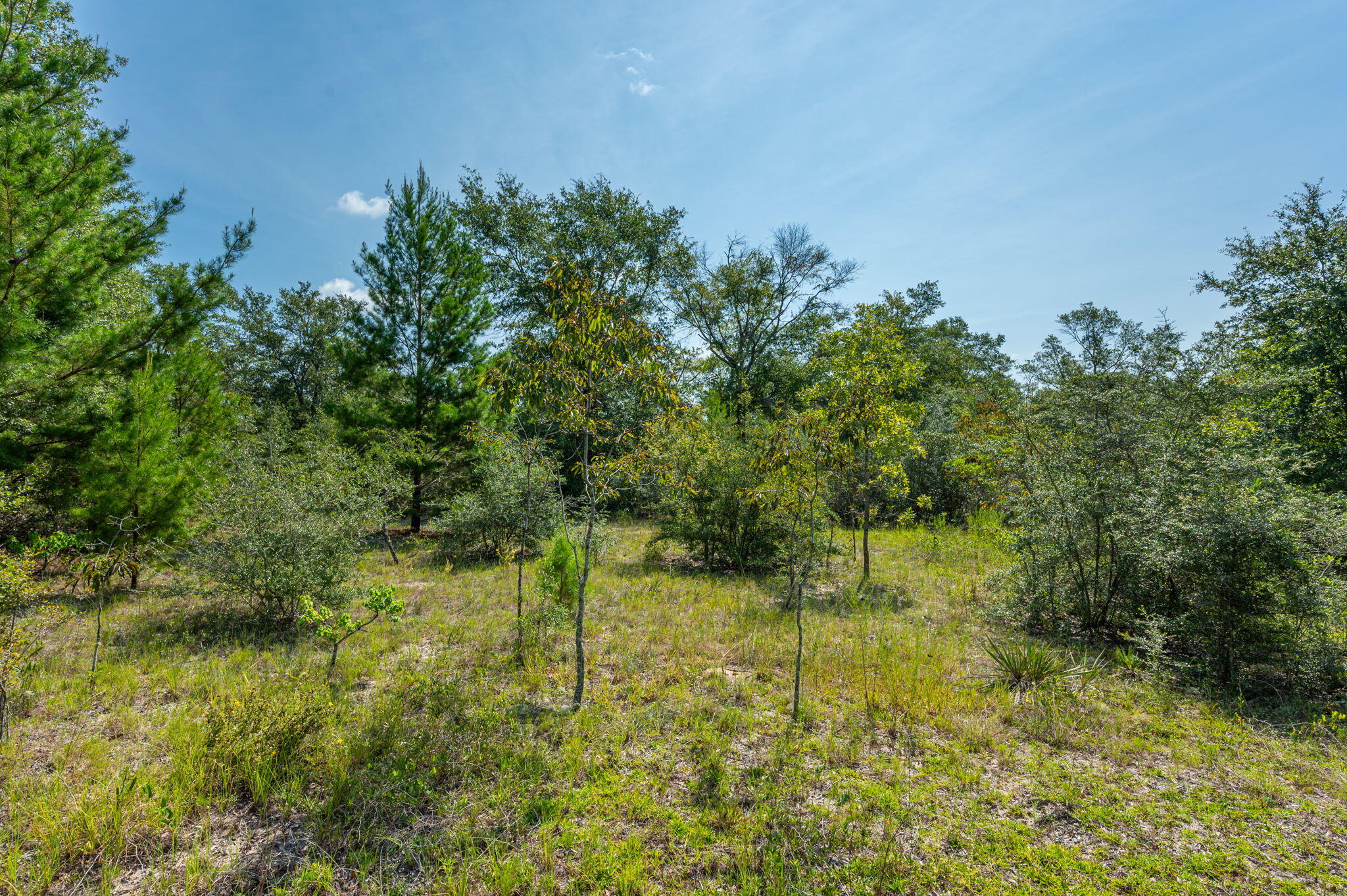 McCaskill S/D - Land