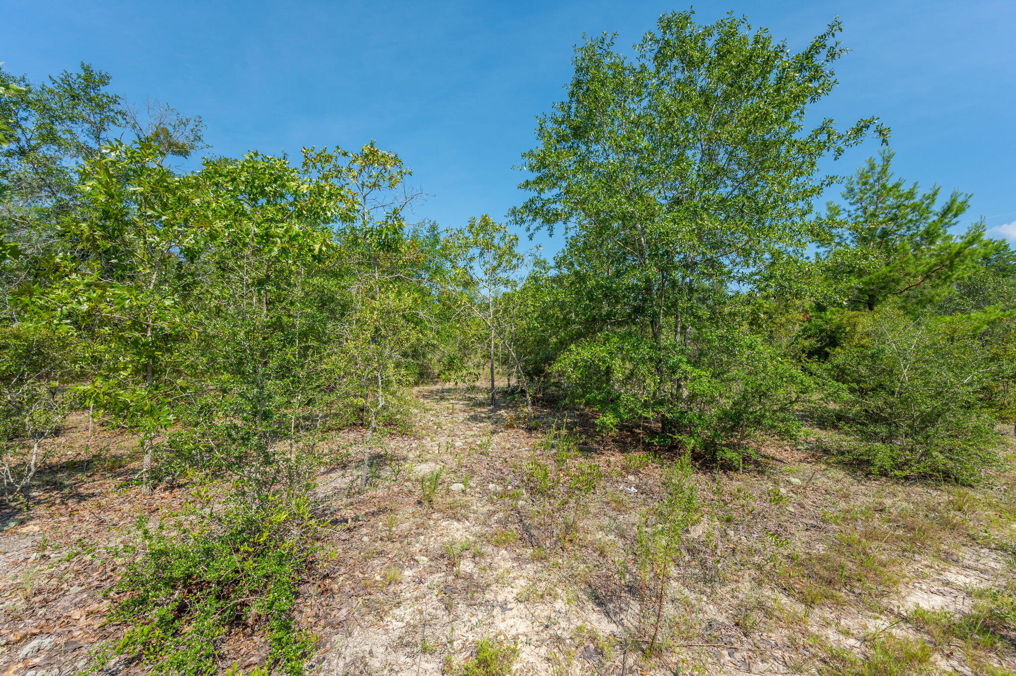 McCaskill S/D - Land