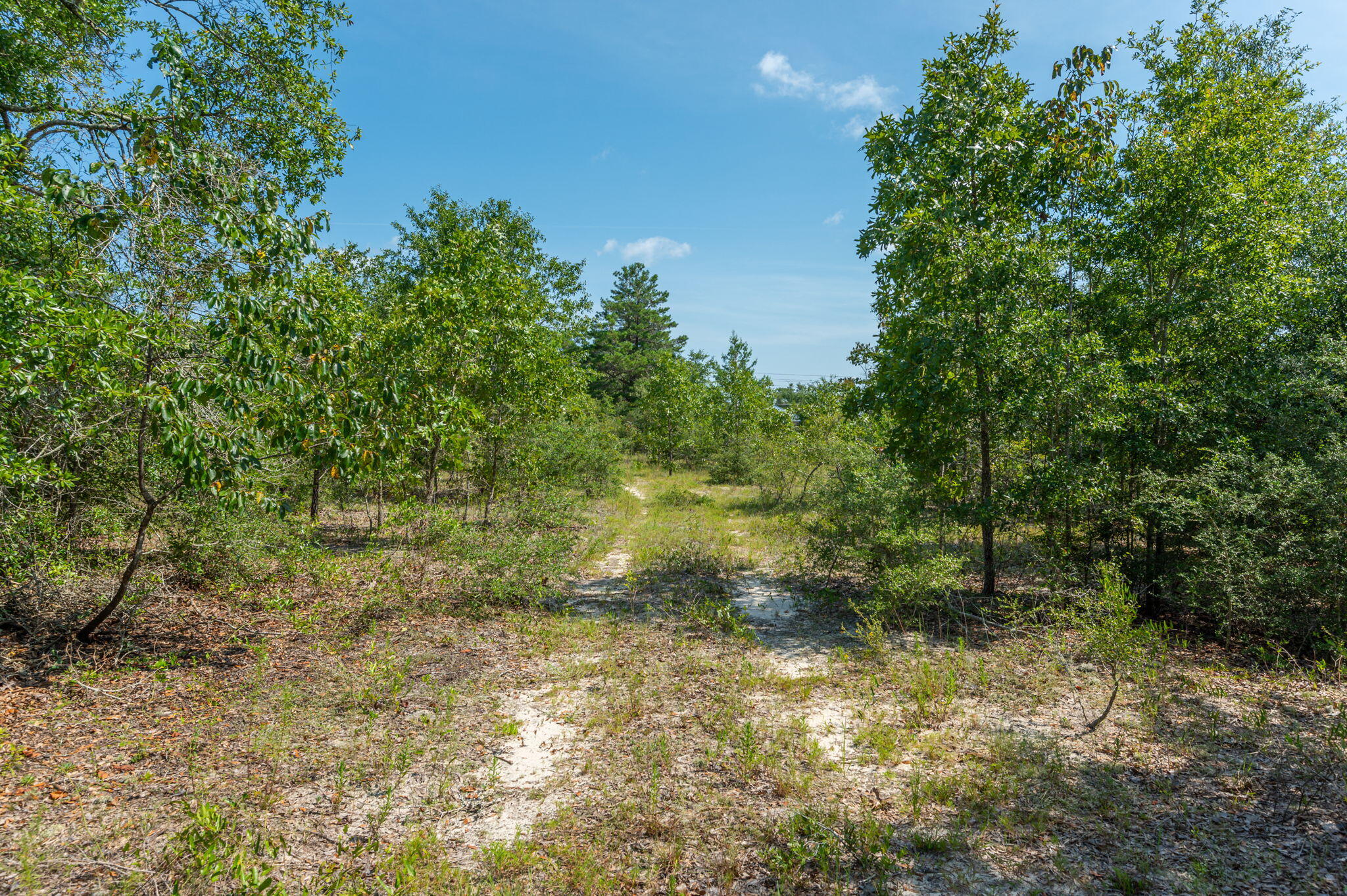 McCaskill S/D - Land