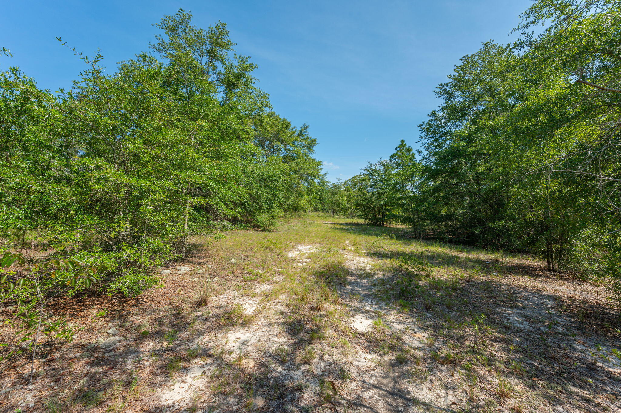 McCaskill S/D - Land