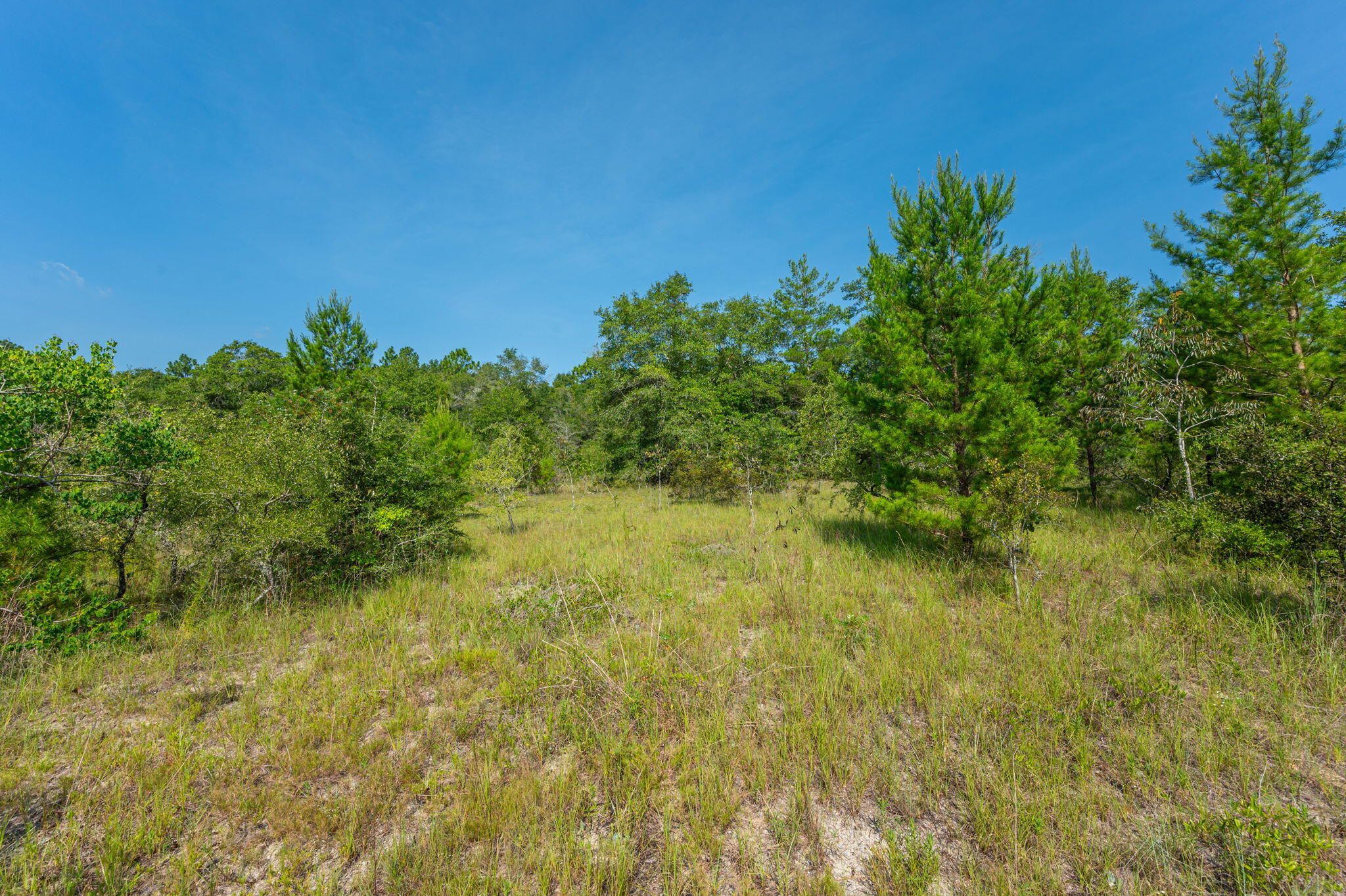 McCaskill S/D - Land