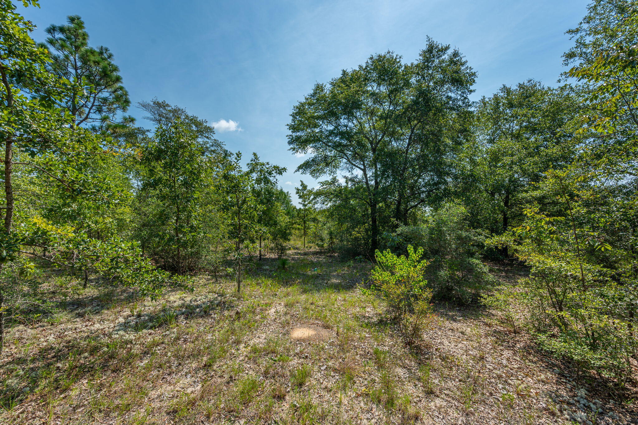 McCaskill S/D - Land