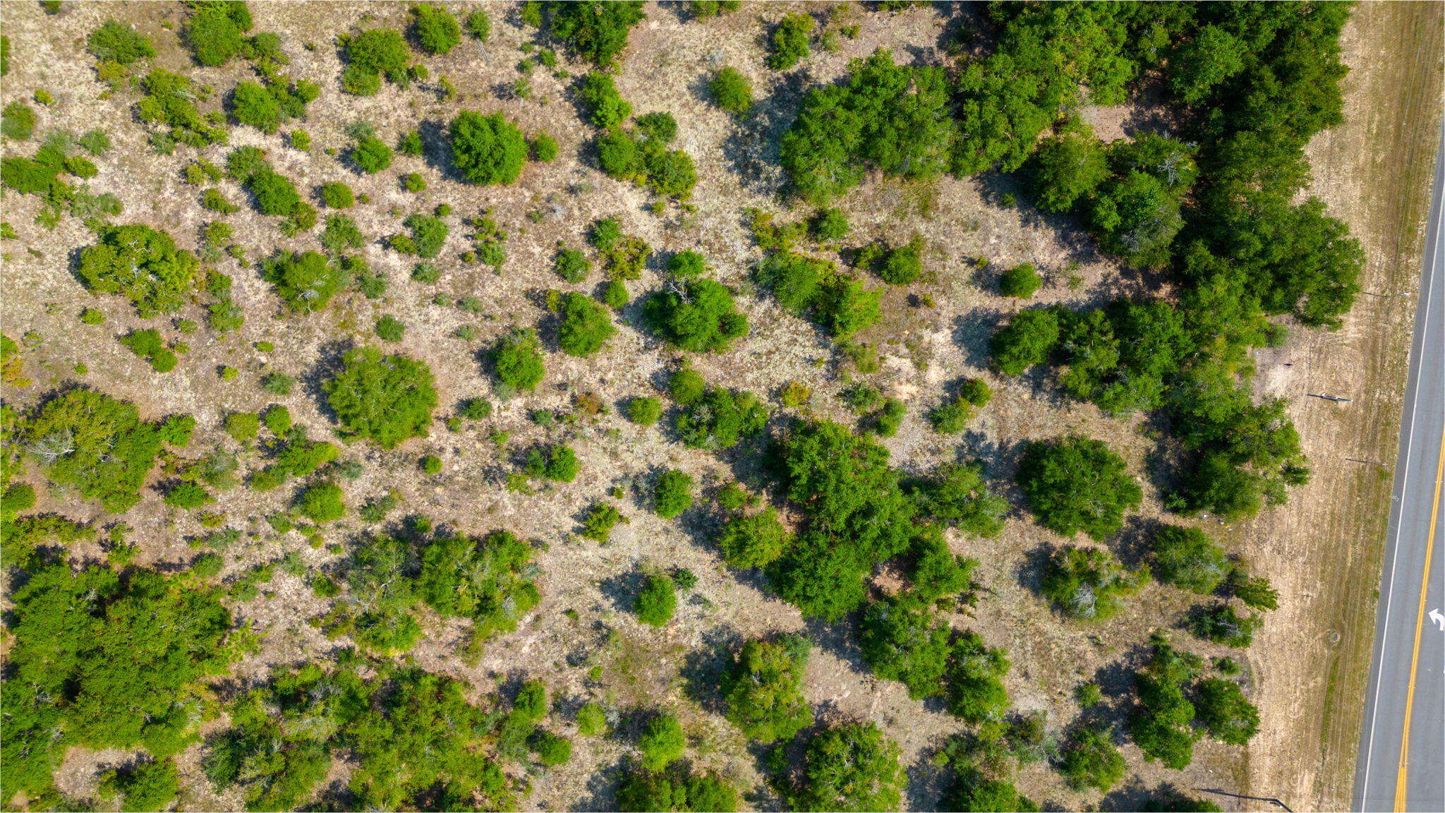 McCaskill S/D - Land