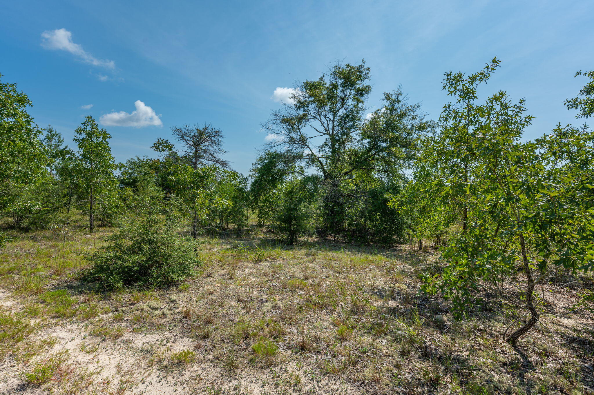 McCaskill S/D - Land