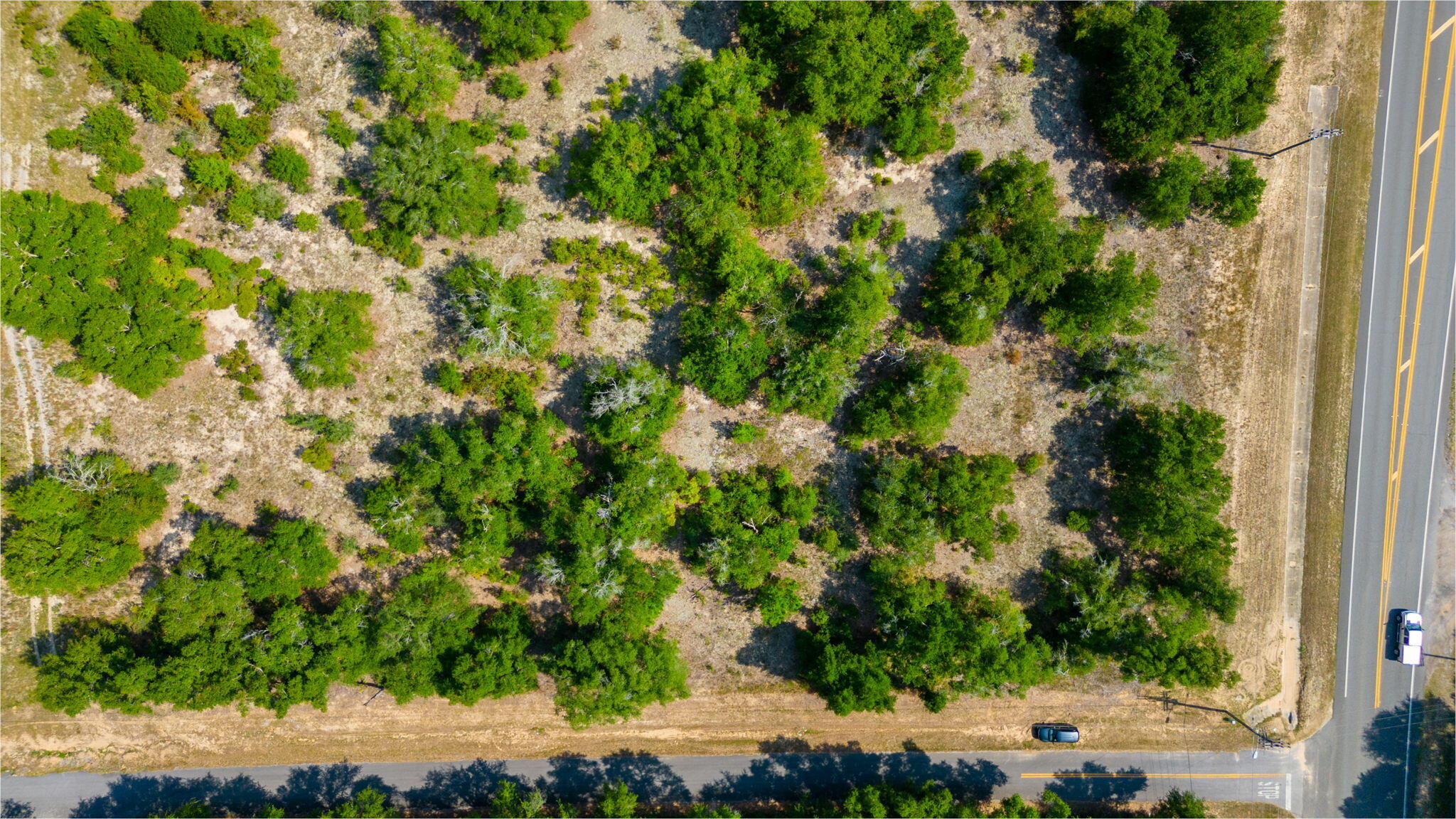 McCaskill S/D - Land