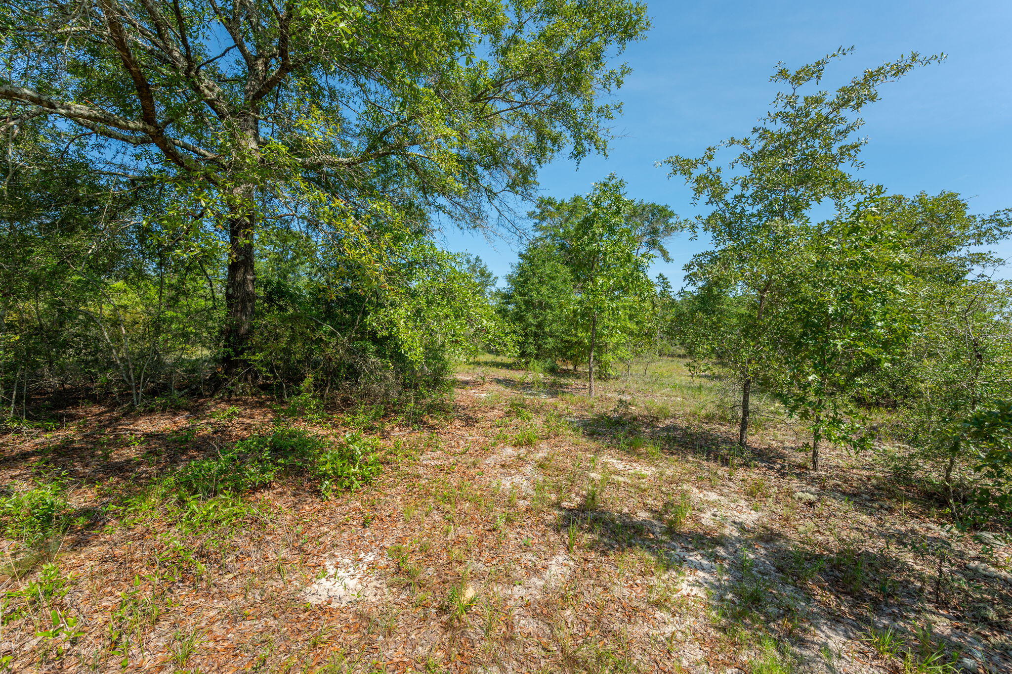 McCaskill S/D - Land