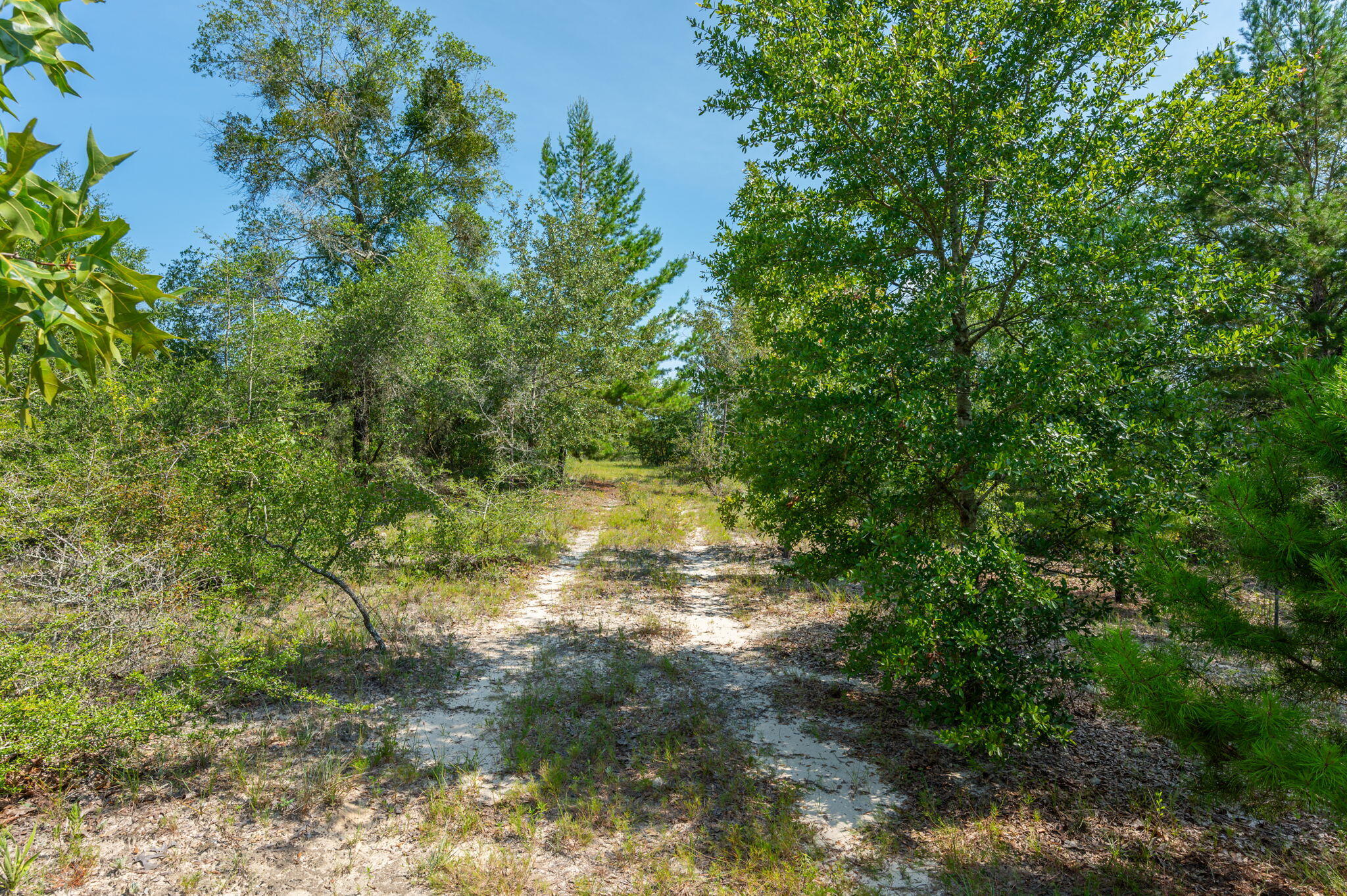 McCaskill S/D - Land