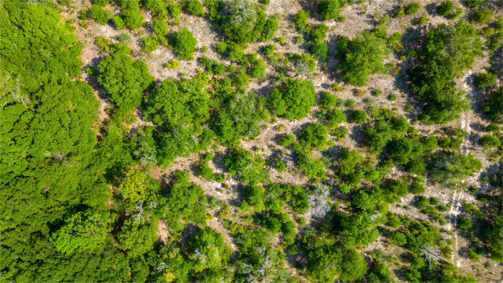 McCaskill S/D - Land