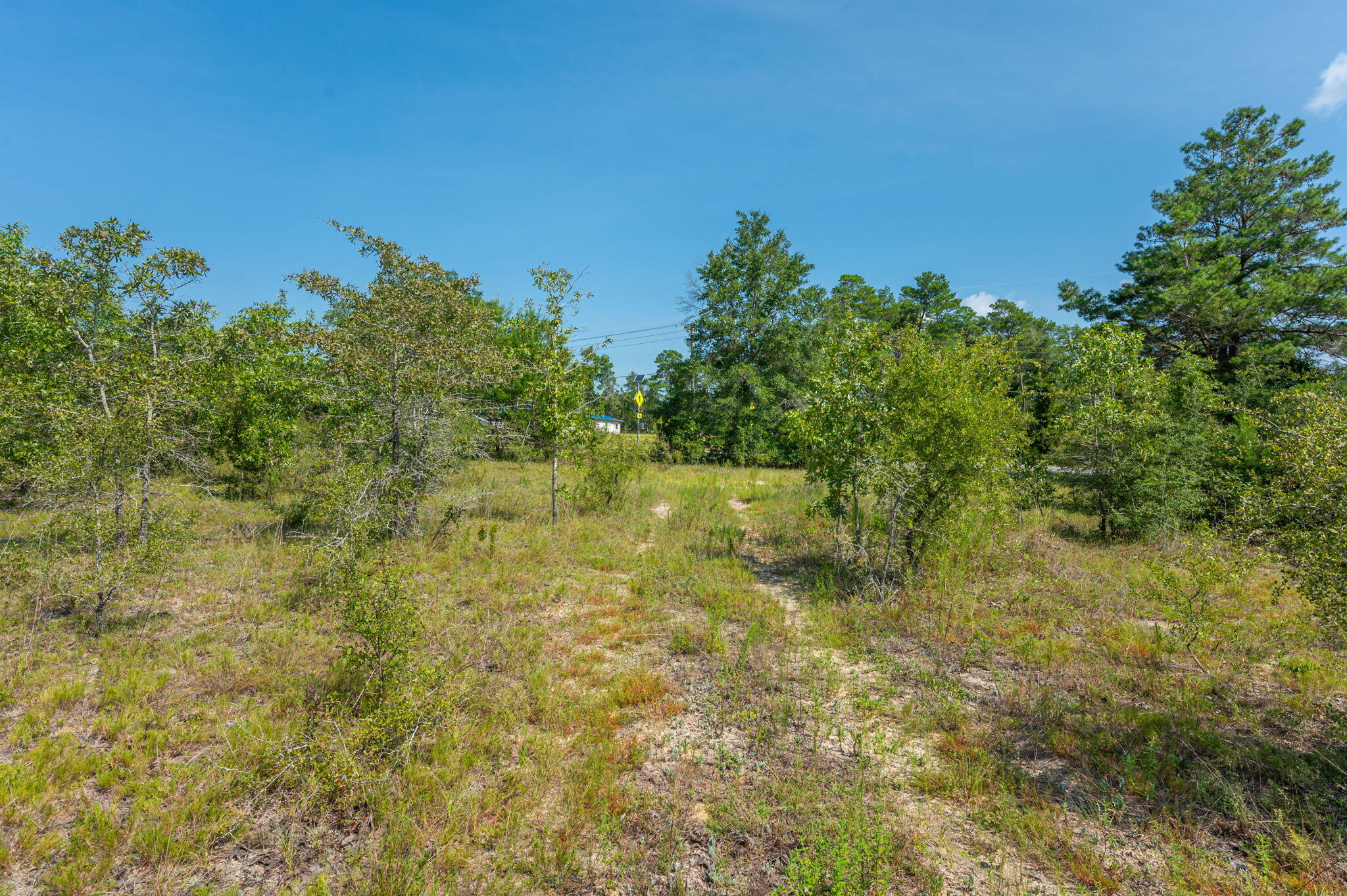 McCaskill S/D - Land