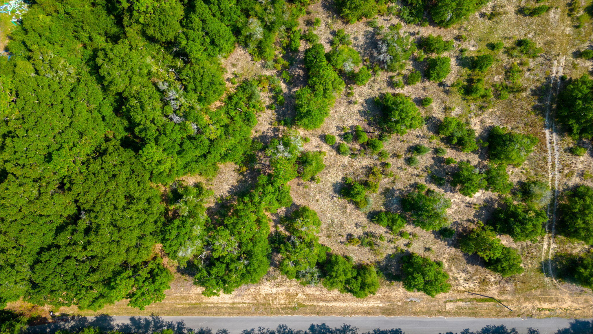 McCaskill S/D - Land