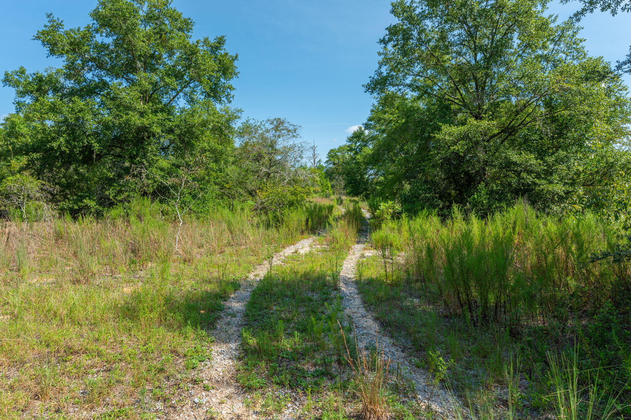 McCaskill S/D - Land