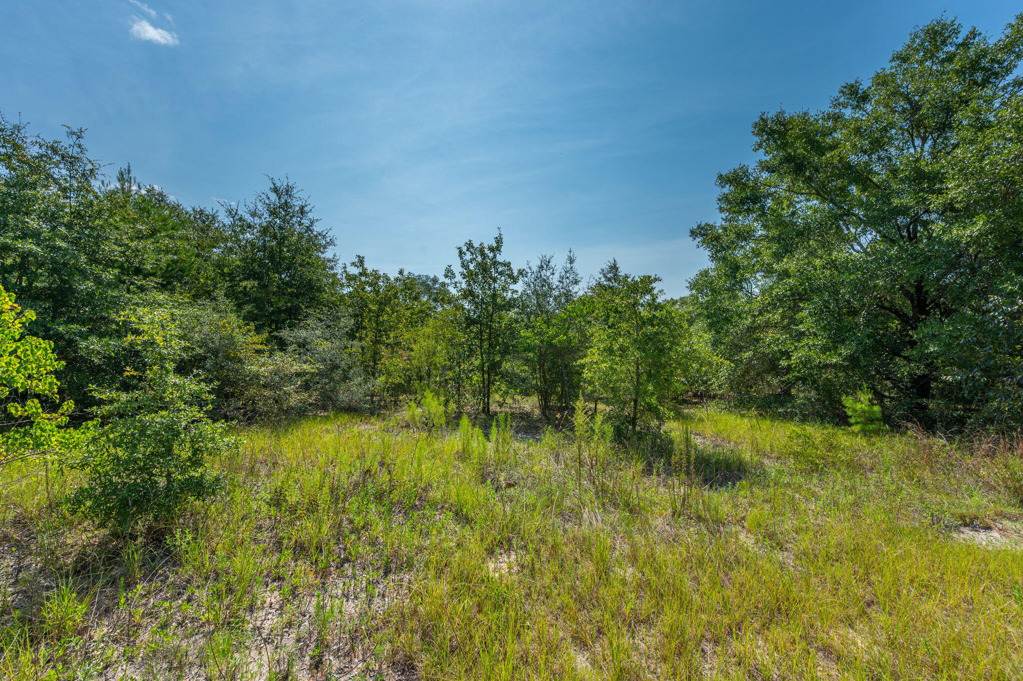 McCaskill S/D - Land