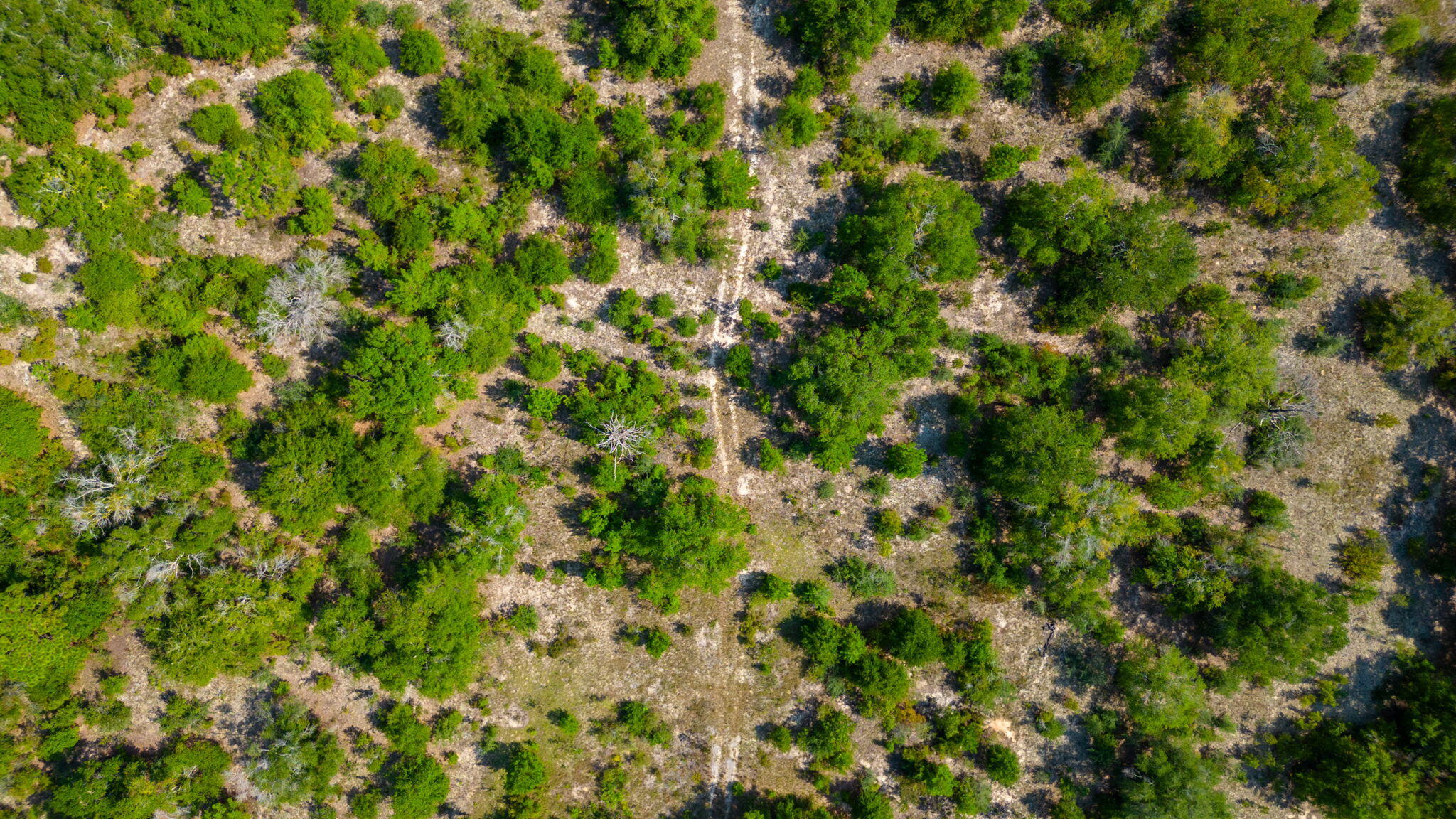 McCaskill S/D - Land