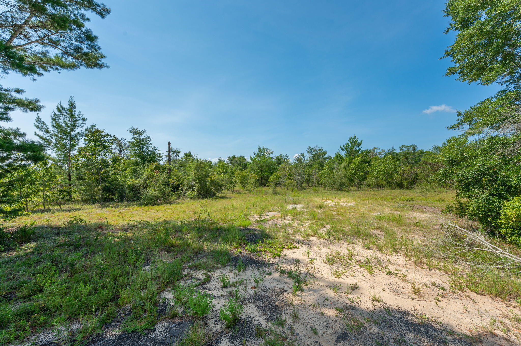 McCaskill S/D - Land