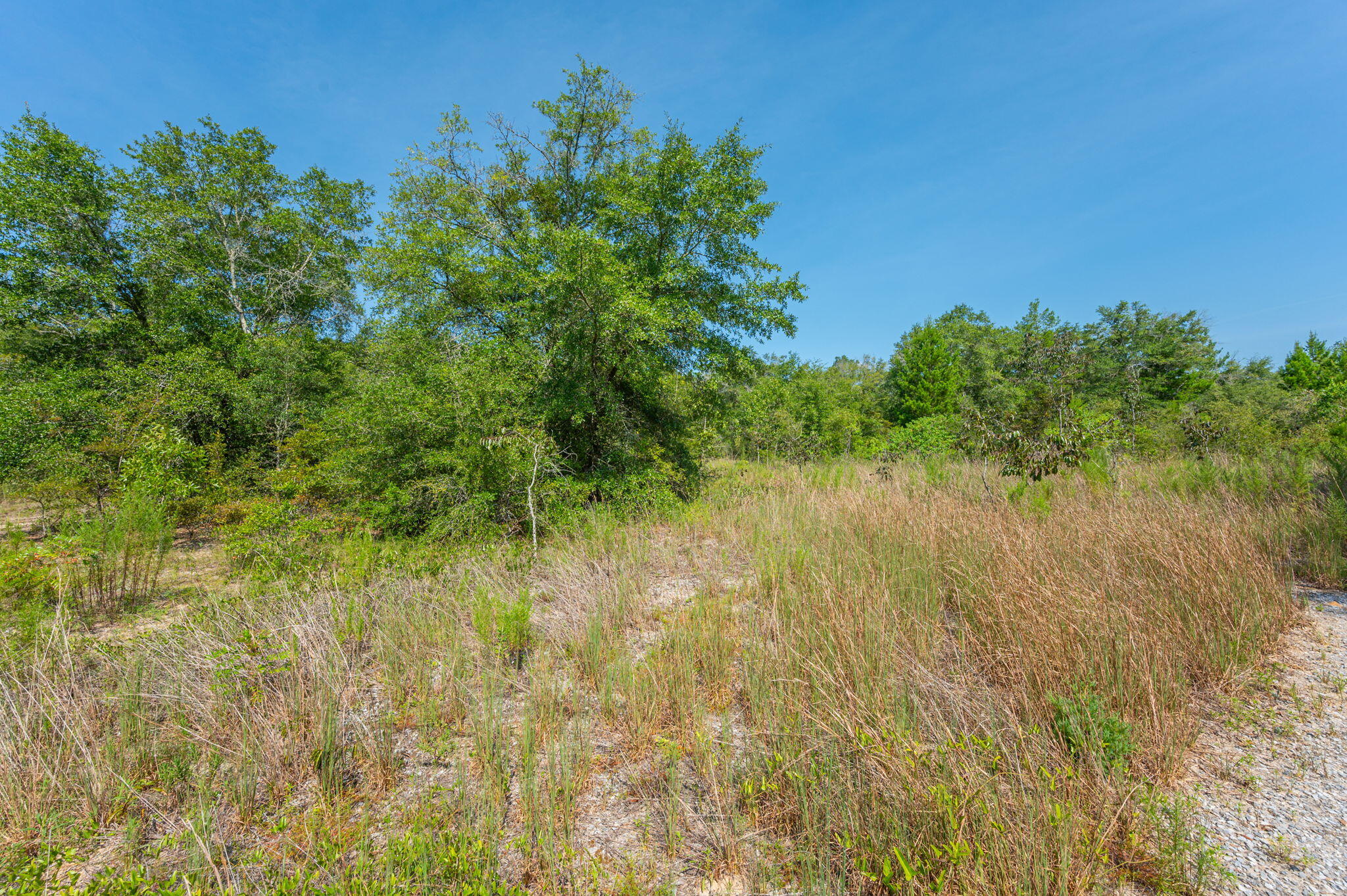 McCaskill S/D - Land