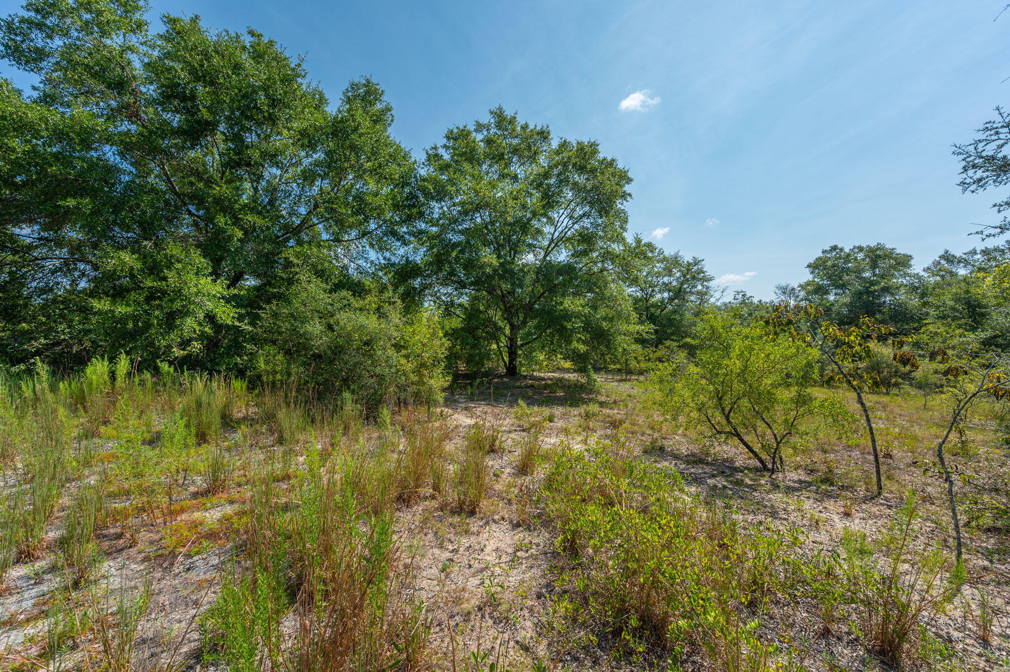 McCaskill S/D - Land