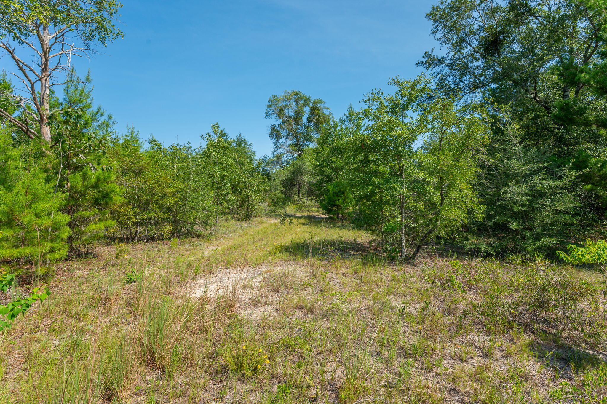 McCaskill S/D - Land