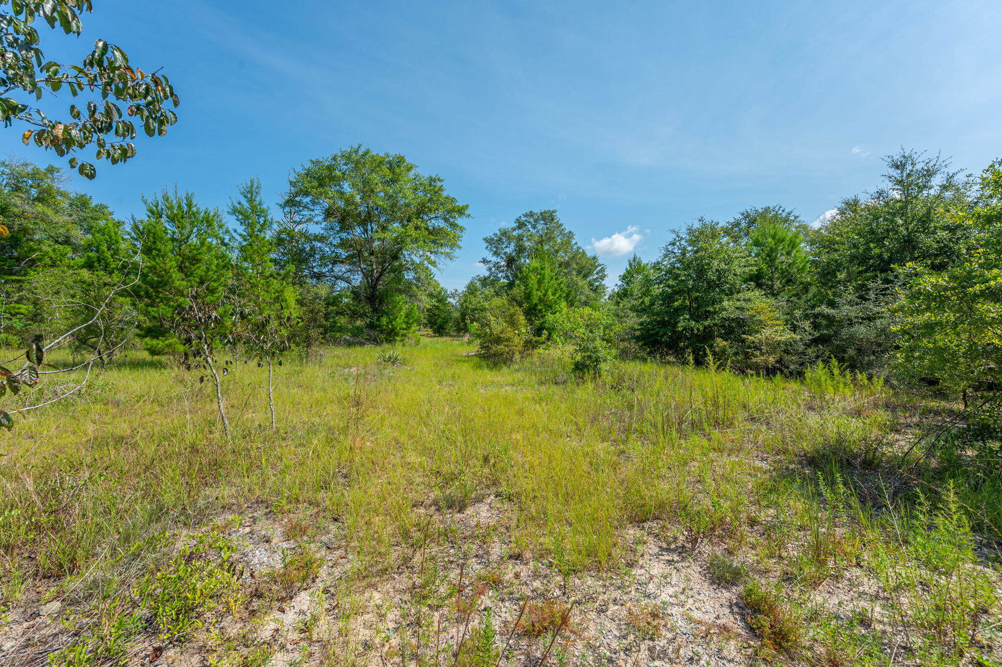 McCaskill S/D - Land