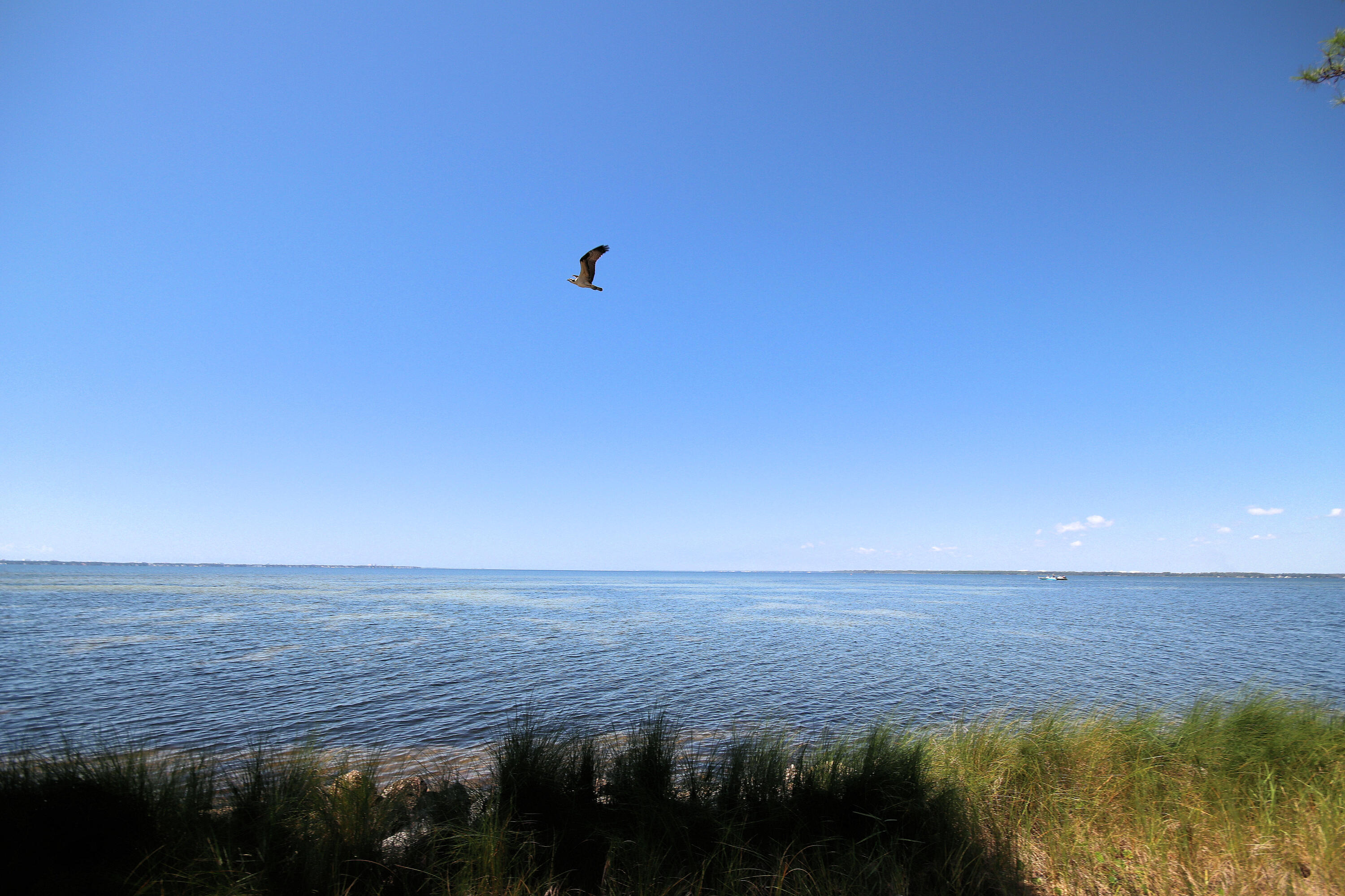 RAINTREE ESTATES - Residential